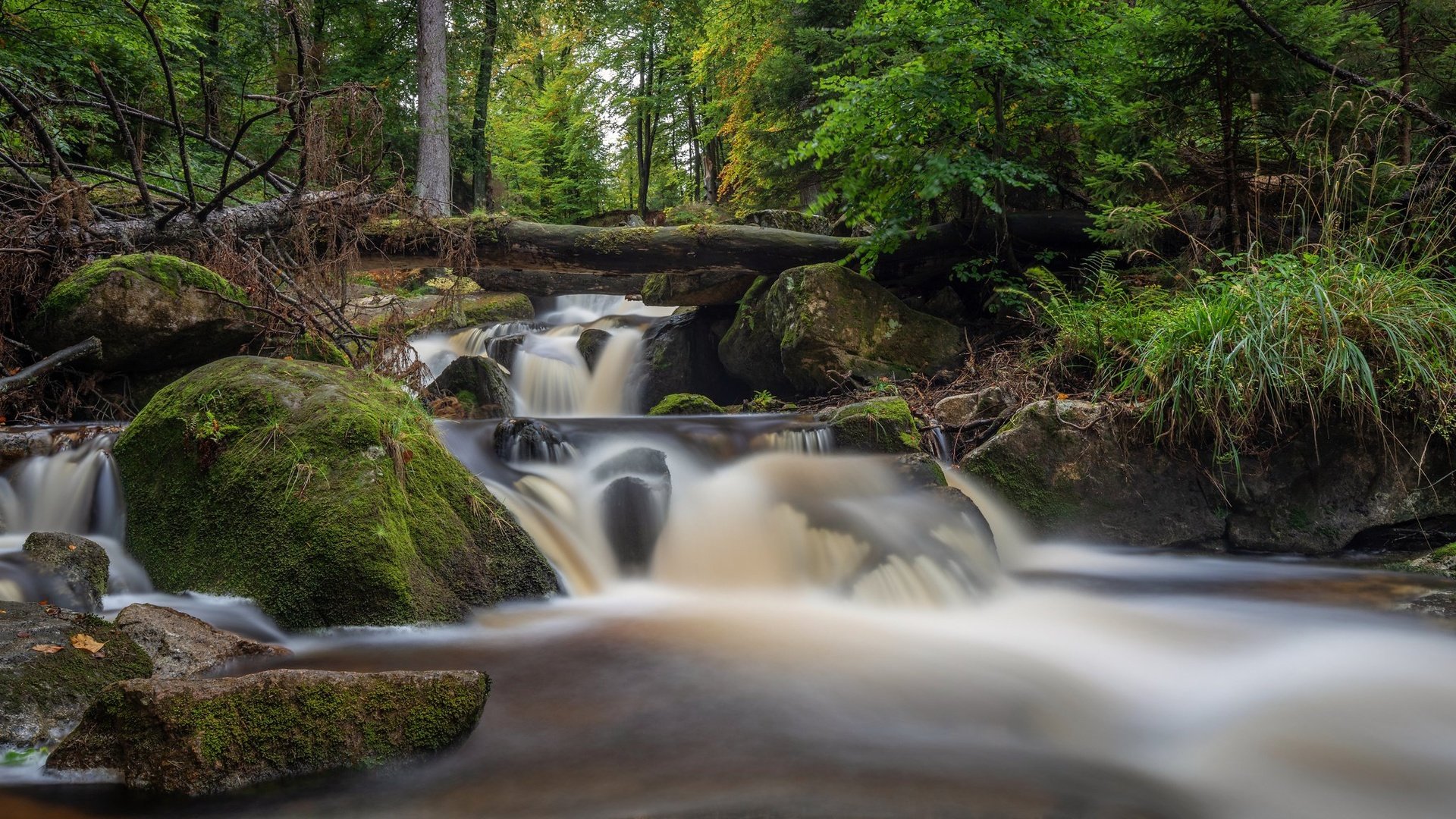 Обои река, камни, лес, водопад, мох, германия, каскад, harz national park, саксония-анхальт, saxony-anhalt, river, stones, forest, waterfall, moss, germany, cascade разрешение 2048x1152 Загрузить