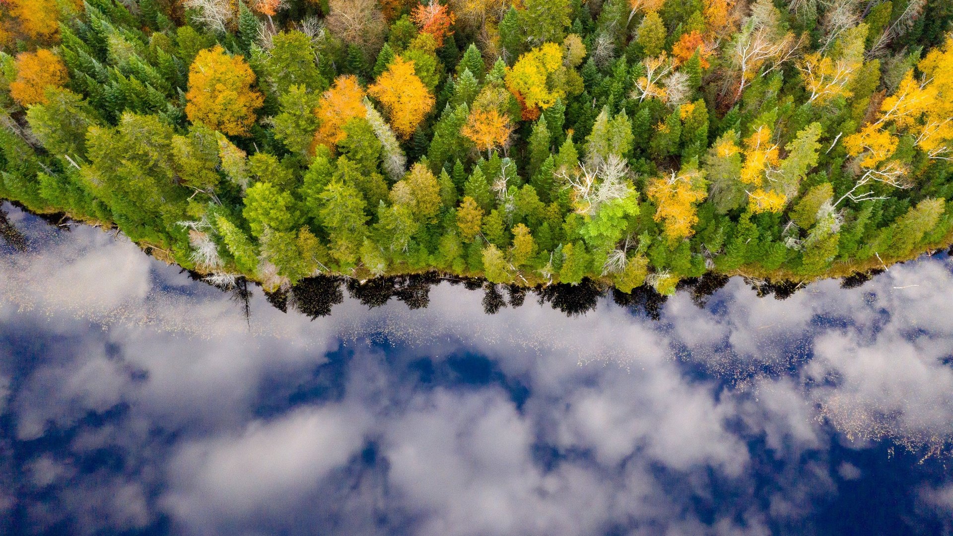 Обои река, лес, отражение, осень, river, forest, reflection, autumn разрешение 3000x1999 Загрузить