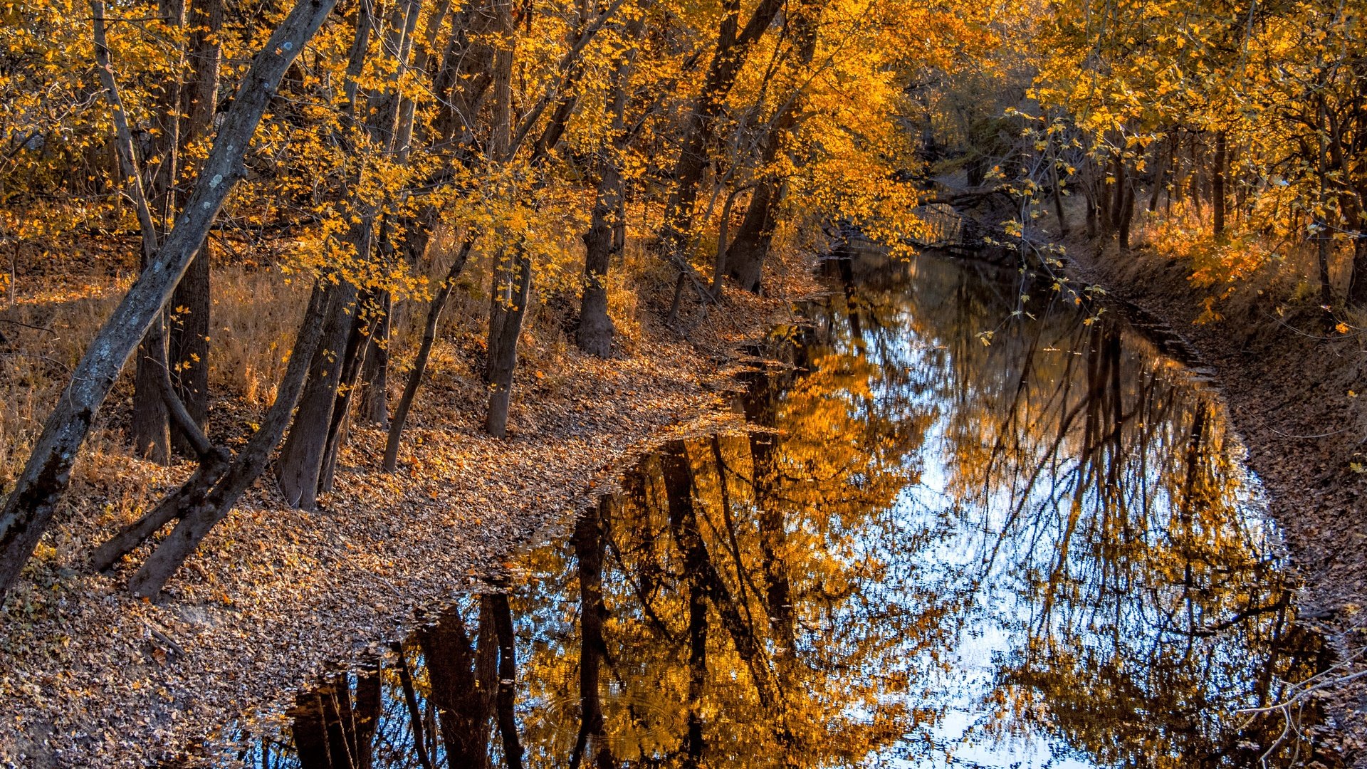 Обои деревья, река, природа, отражение, осень, trees, river, nature, reflection, autumn разрешение 3840x2160 Загрузить