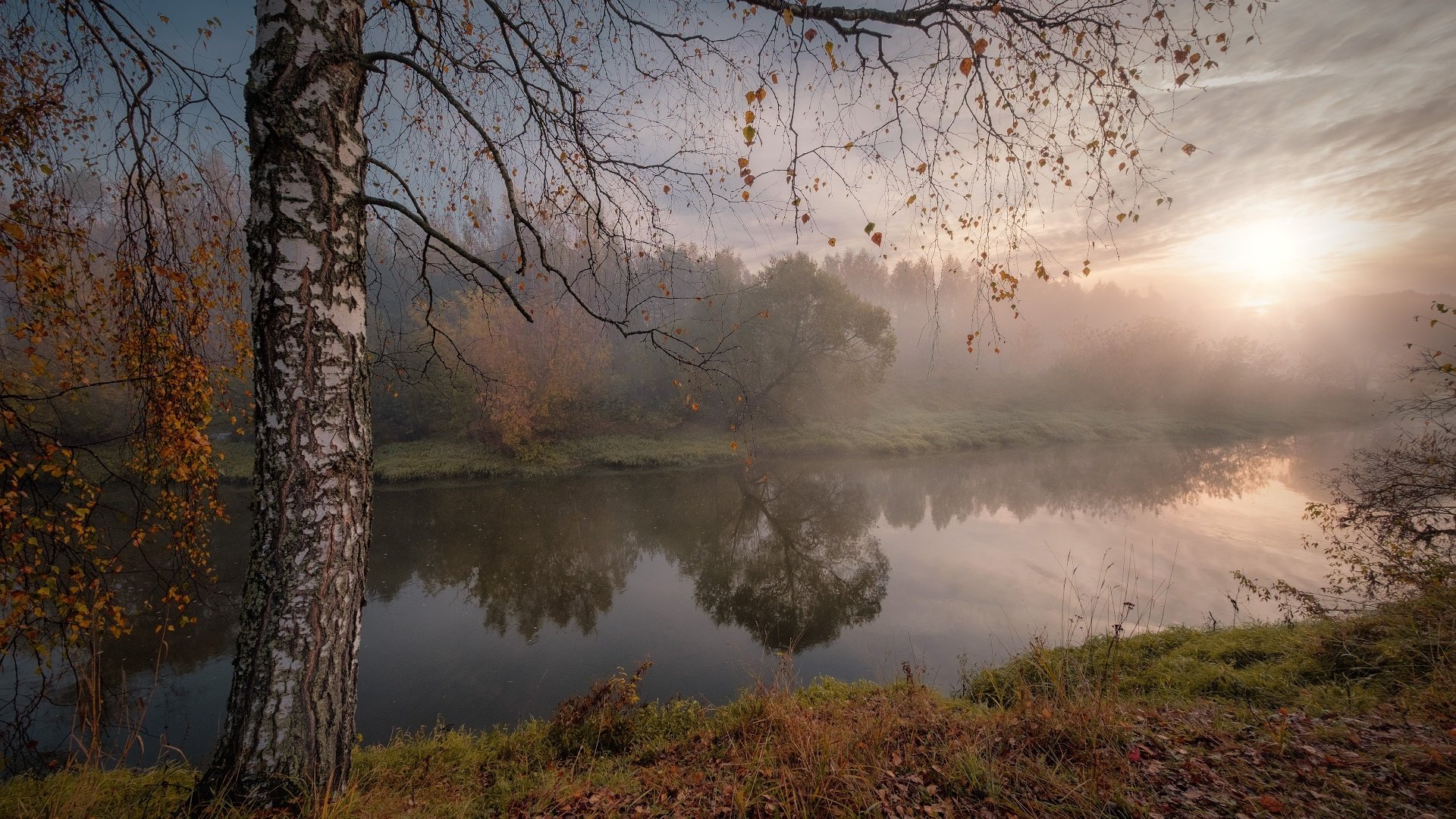 Обои река, осень, солнце, береза, природа, дерево, лучи, пейзаж, утро, туман, river, autumn, the sun, birch, nature, tree, rays, landscape, morning, fog разрешение 1920x1280 Загрузить