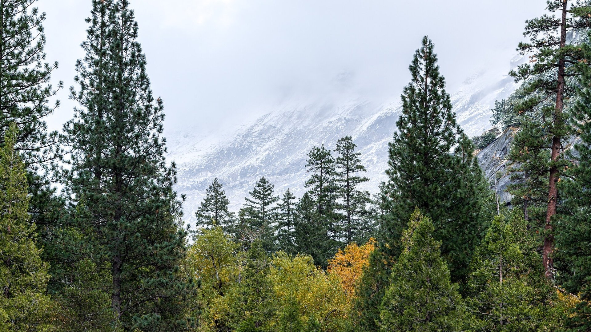 Обои сша, йосемити, национальный парк, сьерра-невада, usa, yosemite, national park, sierra nevada разрешение 2048x1365 Загрузить