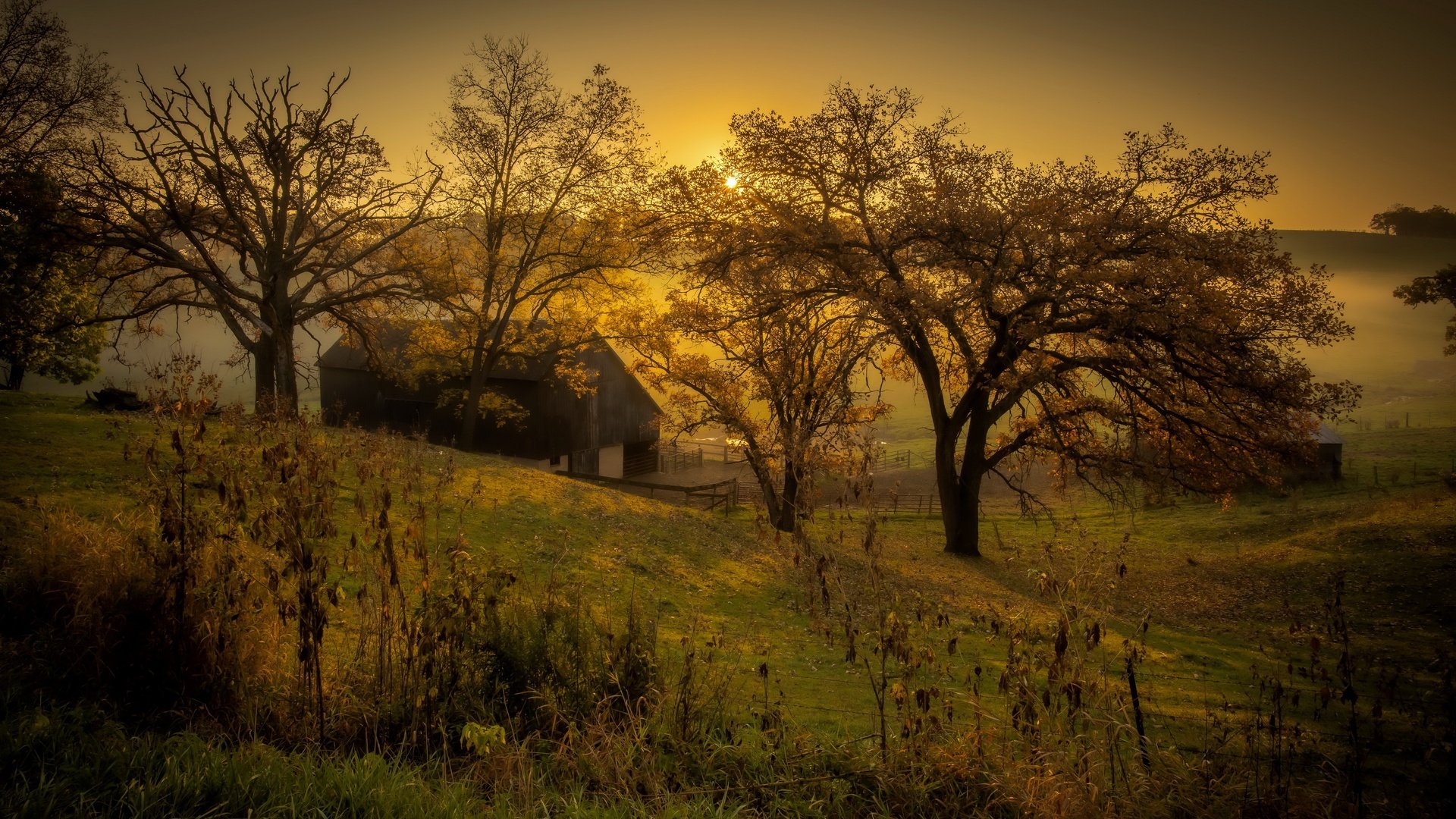 Обои закат, туман, осень, sunset, fog, autumn разрешение 3840x2160 Загрузить