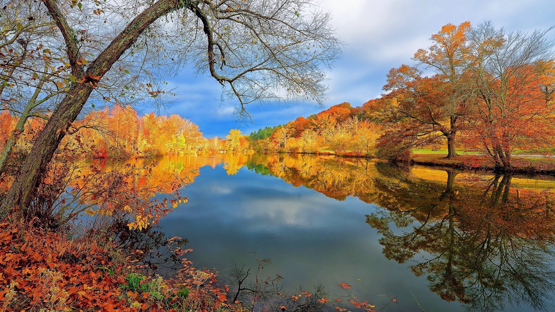 Обои деревья, осень, trees, autumn разрешение 3840x2160 Загрузить