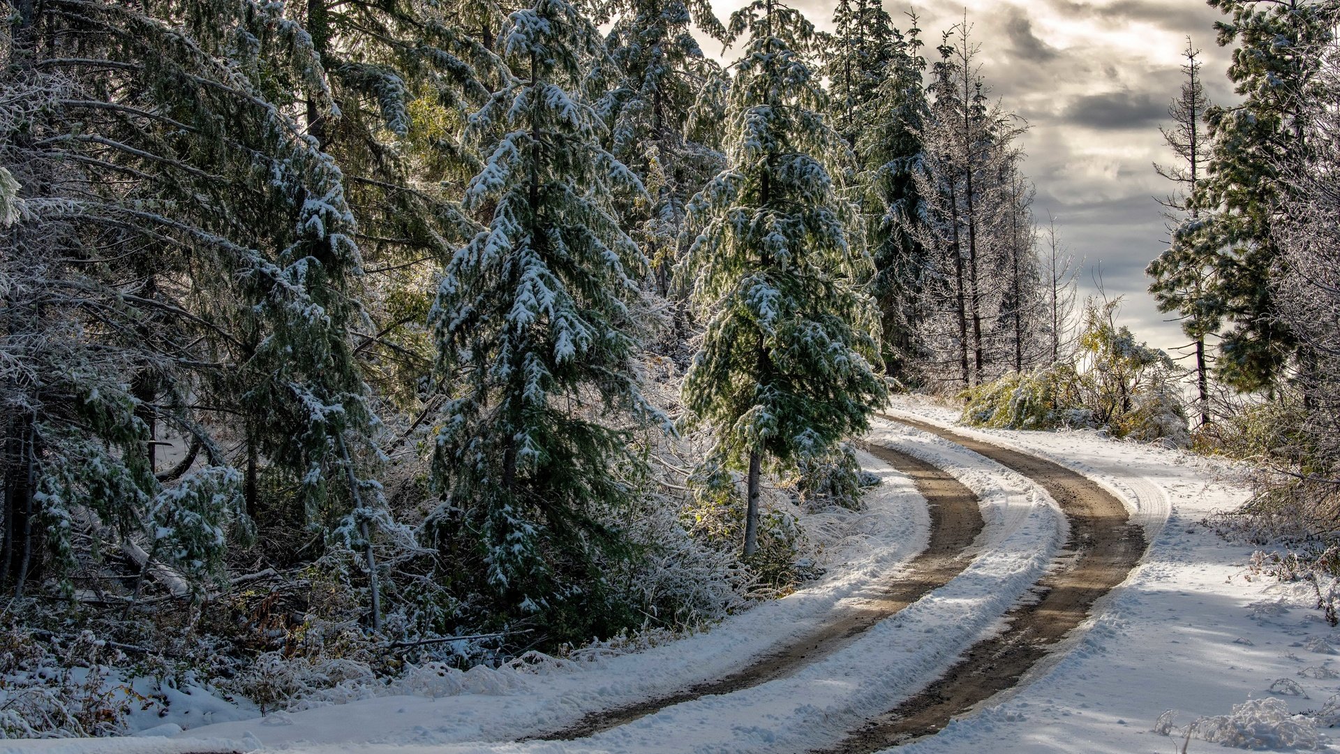 Обои дорога, лес, зима, road, forest, winter разрешение 3840x2160 Загрузить