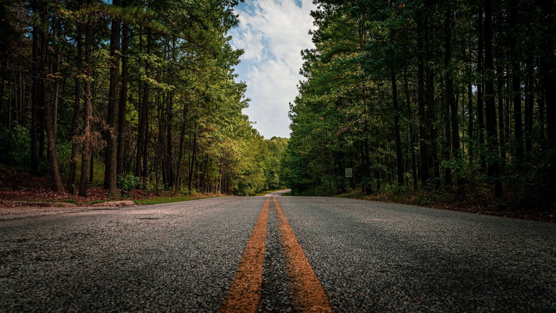 Обои дорога, лес, road, forest разрешение 3840x2160 Загрузить