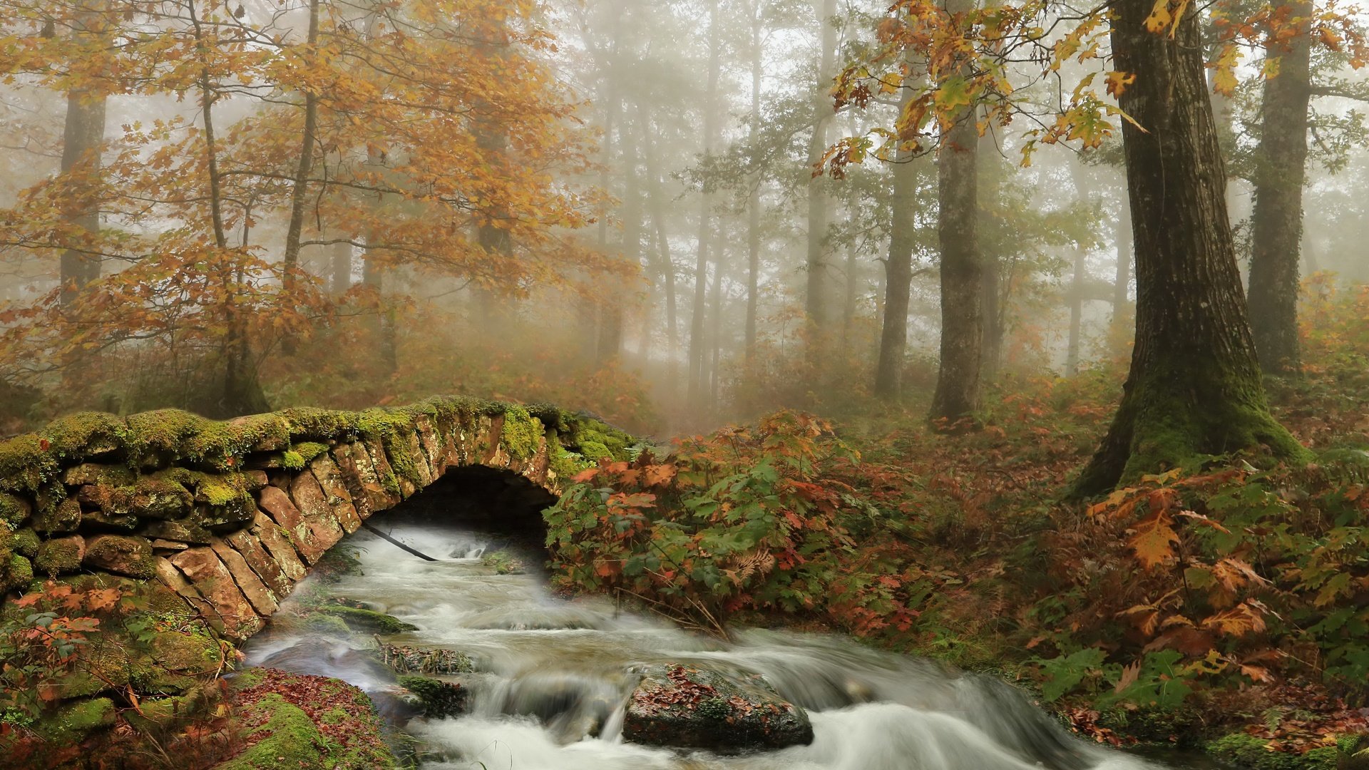 Обои мост, осень, bridge, autumn разрешение 3840x2160 Загрузить