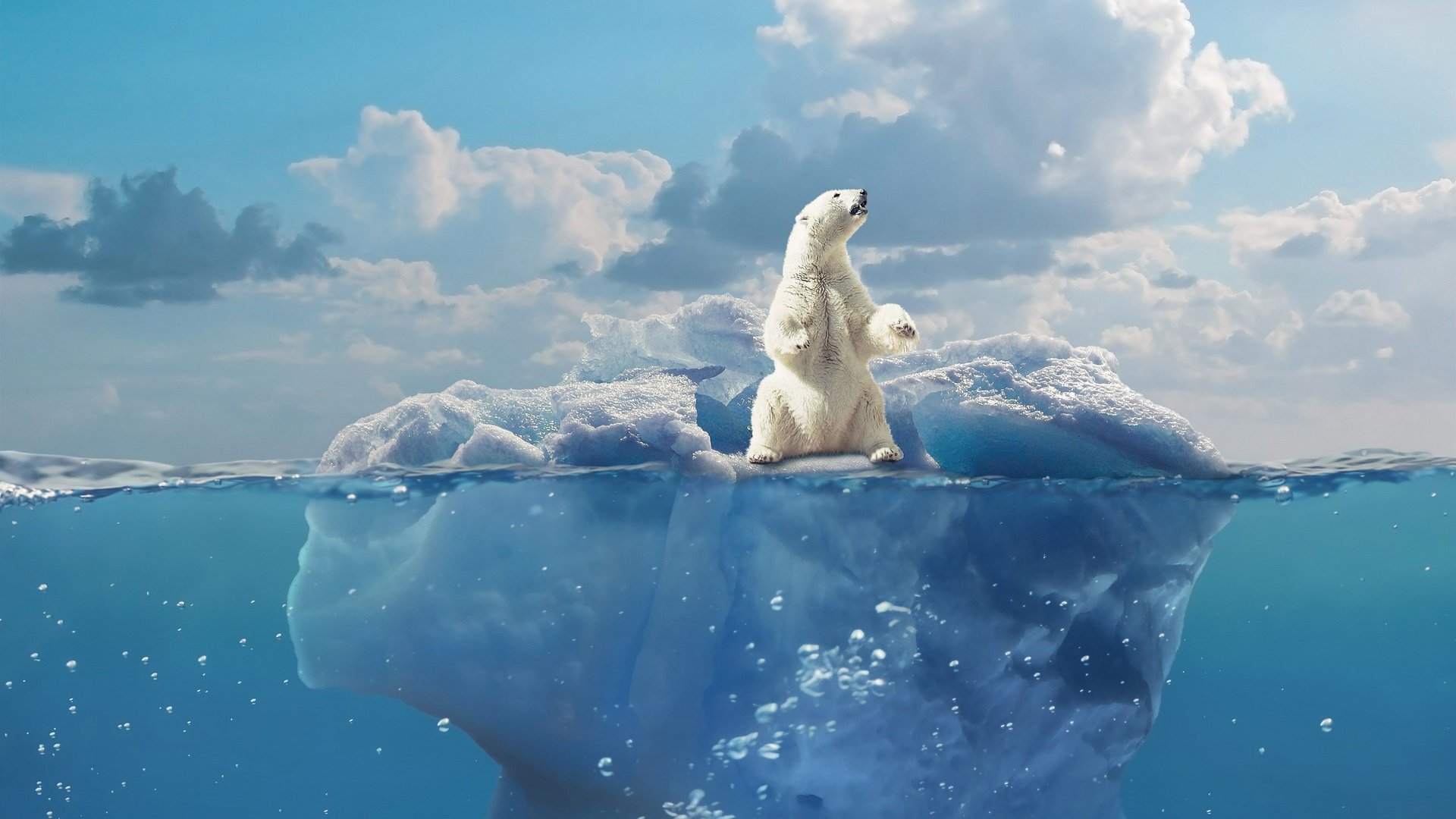 Обои небо, белый медведь, облака, льдина, вода, медведь, пузыри, лёд, айсберг, рендеринг, the sky, polar bear, clouds, floe, water, bear, bubbles, ice, iceberg, rendering разрешение 3714x3303 Загрузить