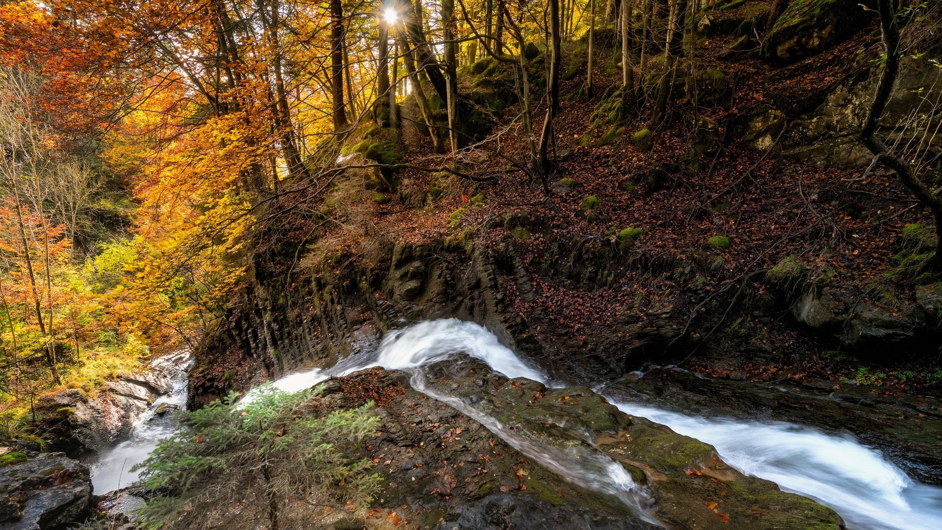 Обои река, лес, осень, river, forest, autumn разрешение 3840x2160 Загрузить