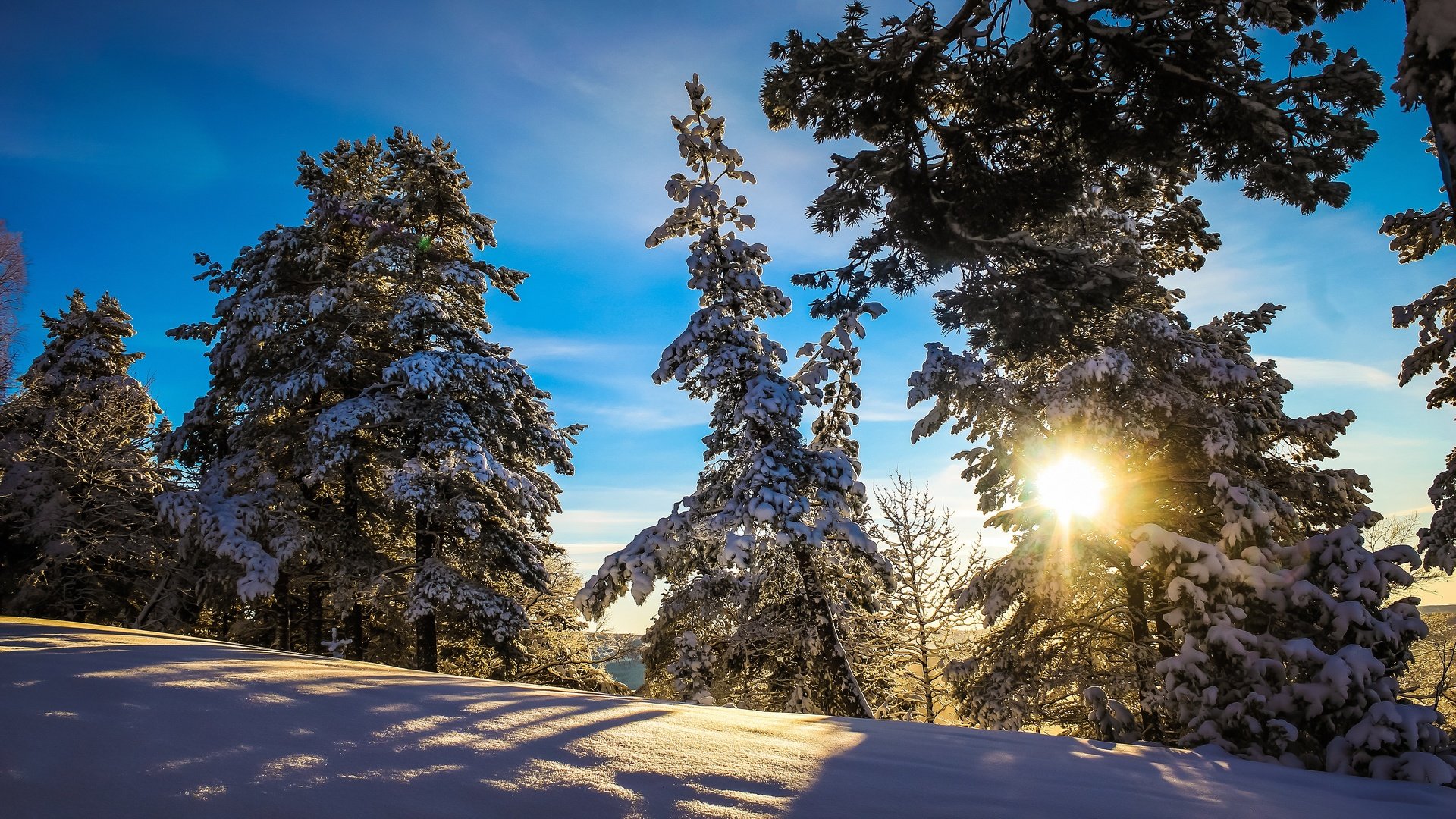 Обои солнце, снег, лес, зима, тень, солнечный свет, the sun, snow, forest, winter, shadow, sunlight разрешение 3840x2160 Загрузить