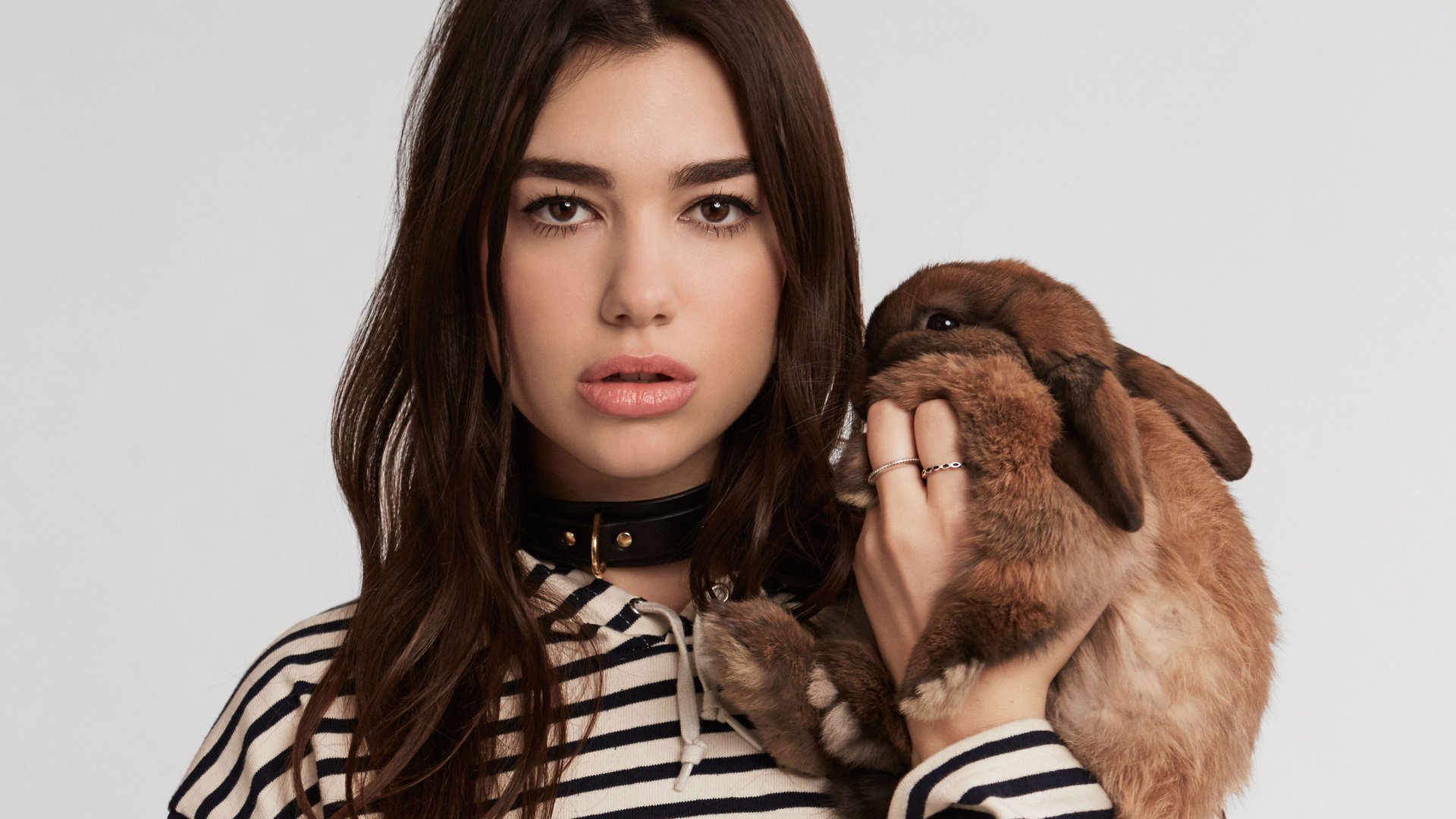 Обои кролик, певица, дуа липа, rabbit, singer, dua lipa разрешение 3714x2872 Загрузить