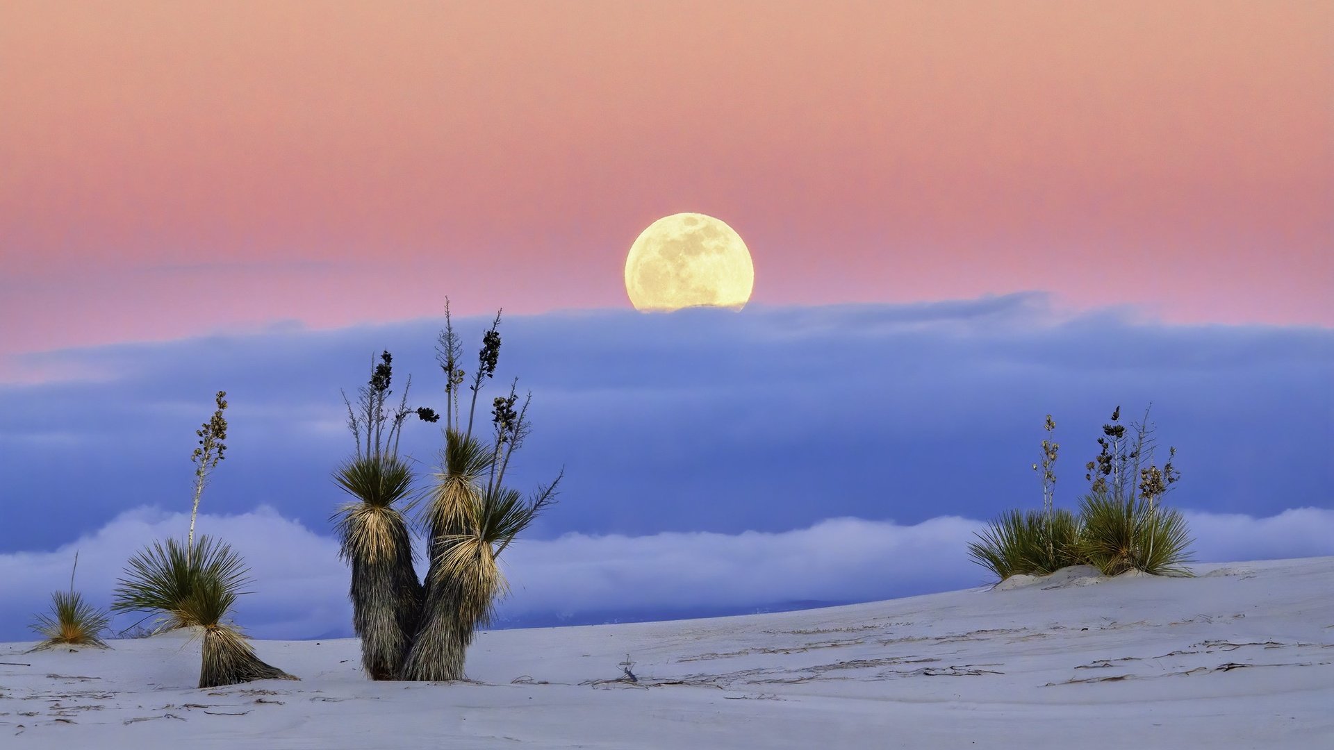 Обои пустыня, луна, сша, нью-мексико, white sands national monume, desert, the moon, usa, new mexico разрешение 2048x1356 Загрузить