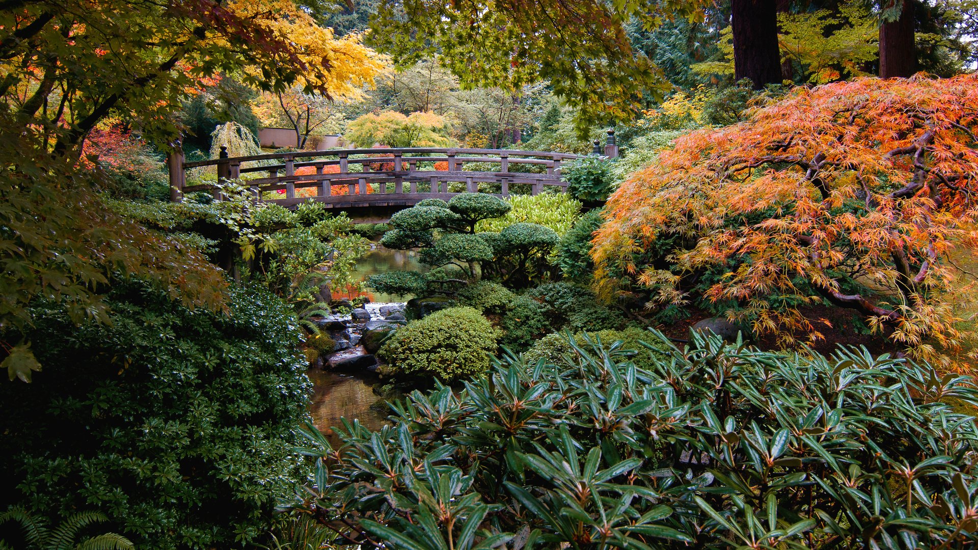 Обои природа, ручей, кусты, мост, сад, сша, японский сад, portland japanese garden, nature, stream, the bushes, bridge, garden, usa, japanese garden разрешение 3957x2507 Загрузить