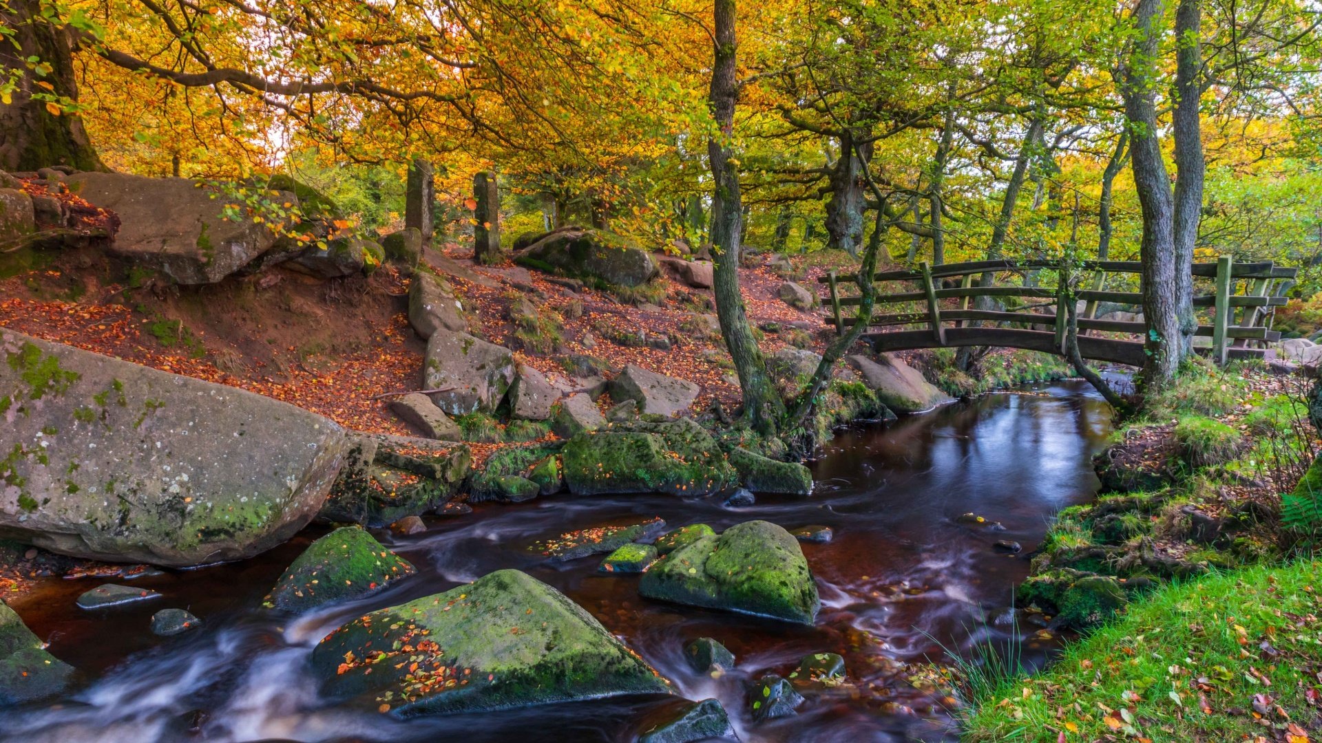 Обои деревья, речка, природа, камни, мостик, лес, пейзаж, парк, осень, trees, river, nature, stones, the bridge, forest, landscape, park, autumn разрешение 2850x1771 Загрузить