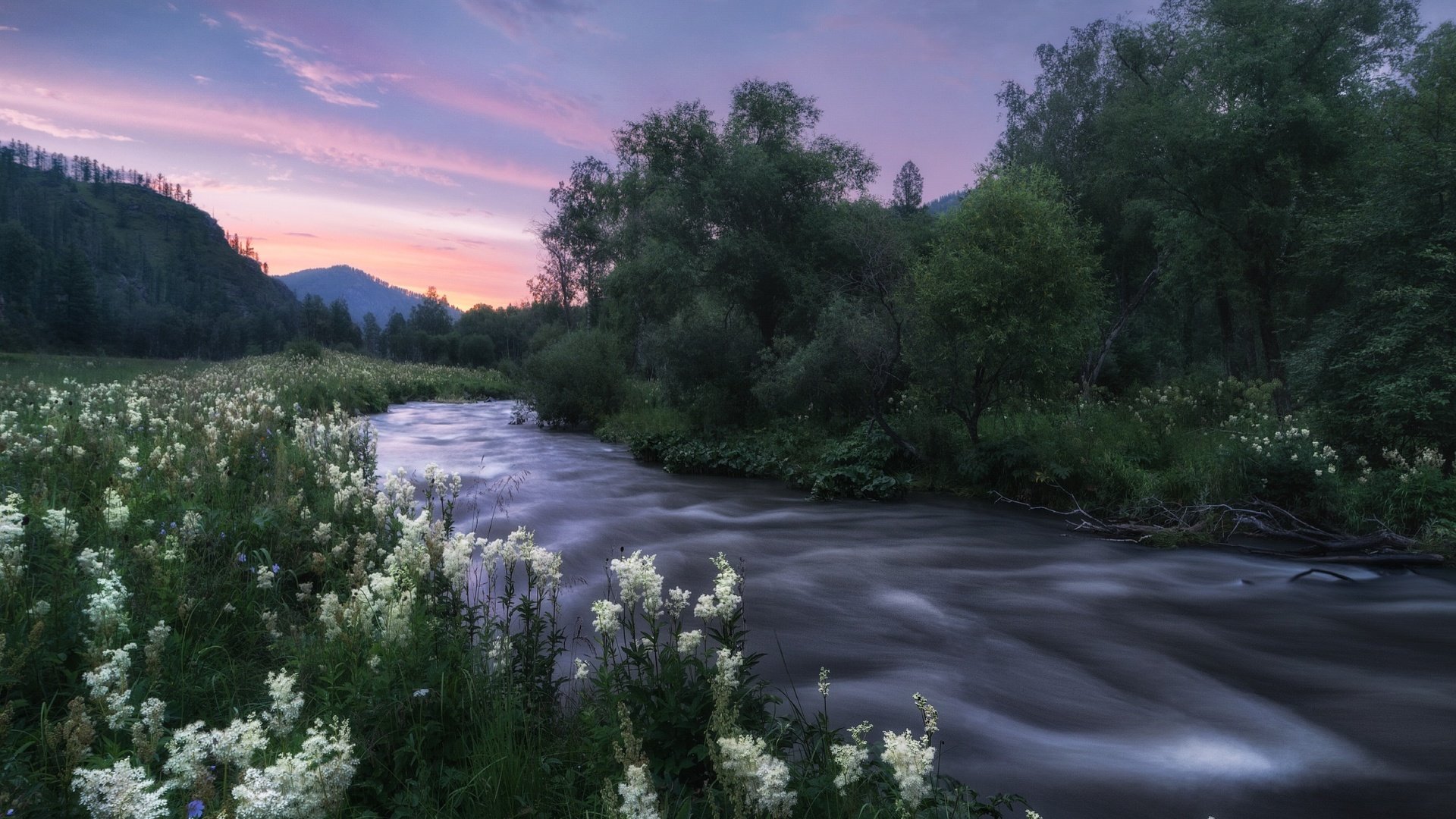 Обои река, природа, пейзаж, сумерки, травы, алтай, таволга, river, nature, landscape, twilight, grass, altay, meadowsweet разрешение 2000x1428 Загрузить