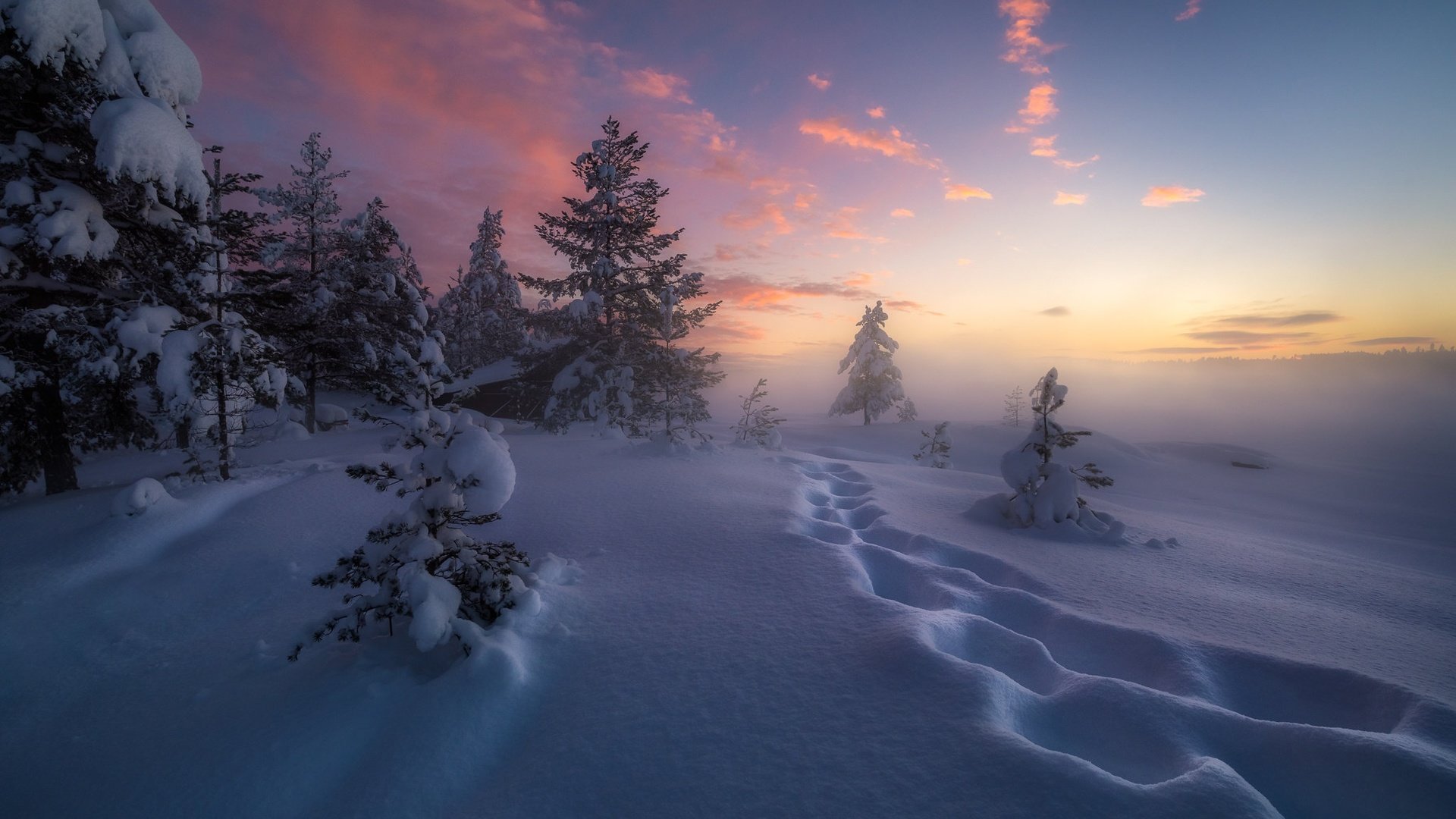 Обои деревья, снег, зима, следы, сугробы, норвегия, рингерике, trees, snow, winter, traces, the snow, norway, ringerike разрешение 2048x1367 Загрузить