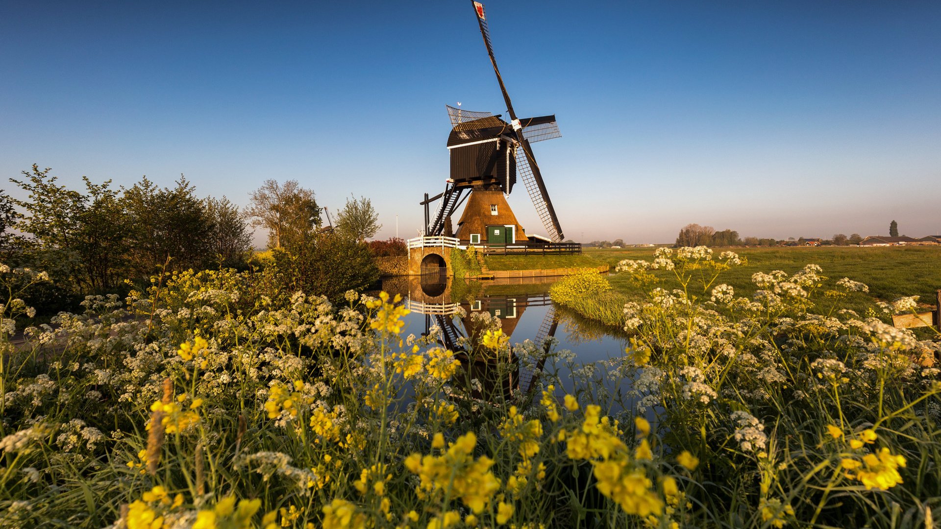 Обои вода, канал, мельница, нидерланды, zuid-holland, water, channel, mill, netherlands разрешение 2112x1188 Загрузить