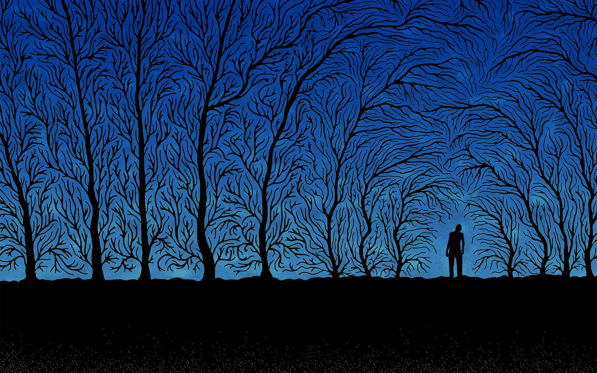 Обои деревья, синий, ветки, человек, черный, trees, blue, branches, people, black разрешение 2560x1600 Загрузить