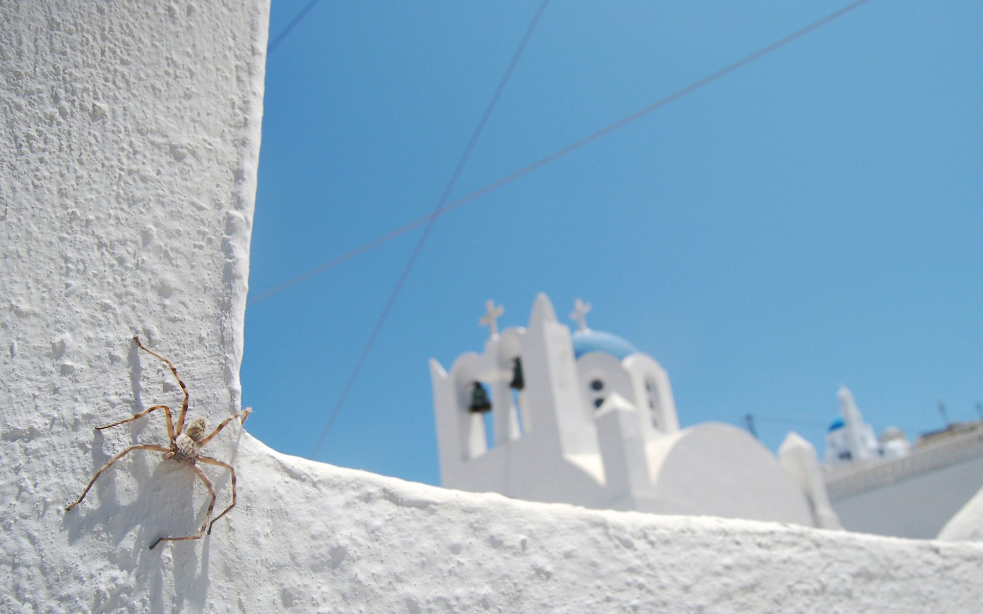 Обои небо, синий, белый, церковь, паук, санторини, the sky, blue, white, church, spider, santorini разрешение 2560x1600 Загрузить