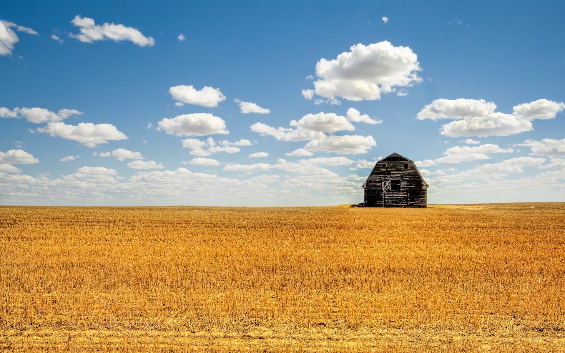 Обои облака, поле, лето, сарай, clouds, field, summer, the barn разрешение 2560x1600 Загрузить