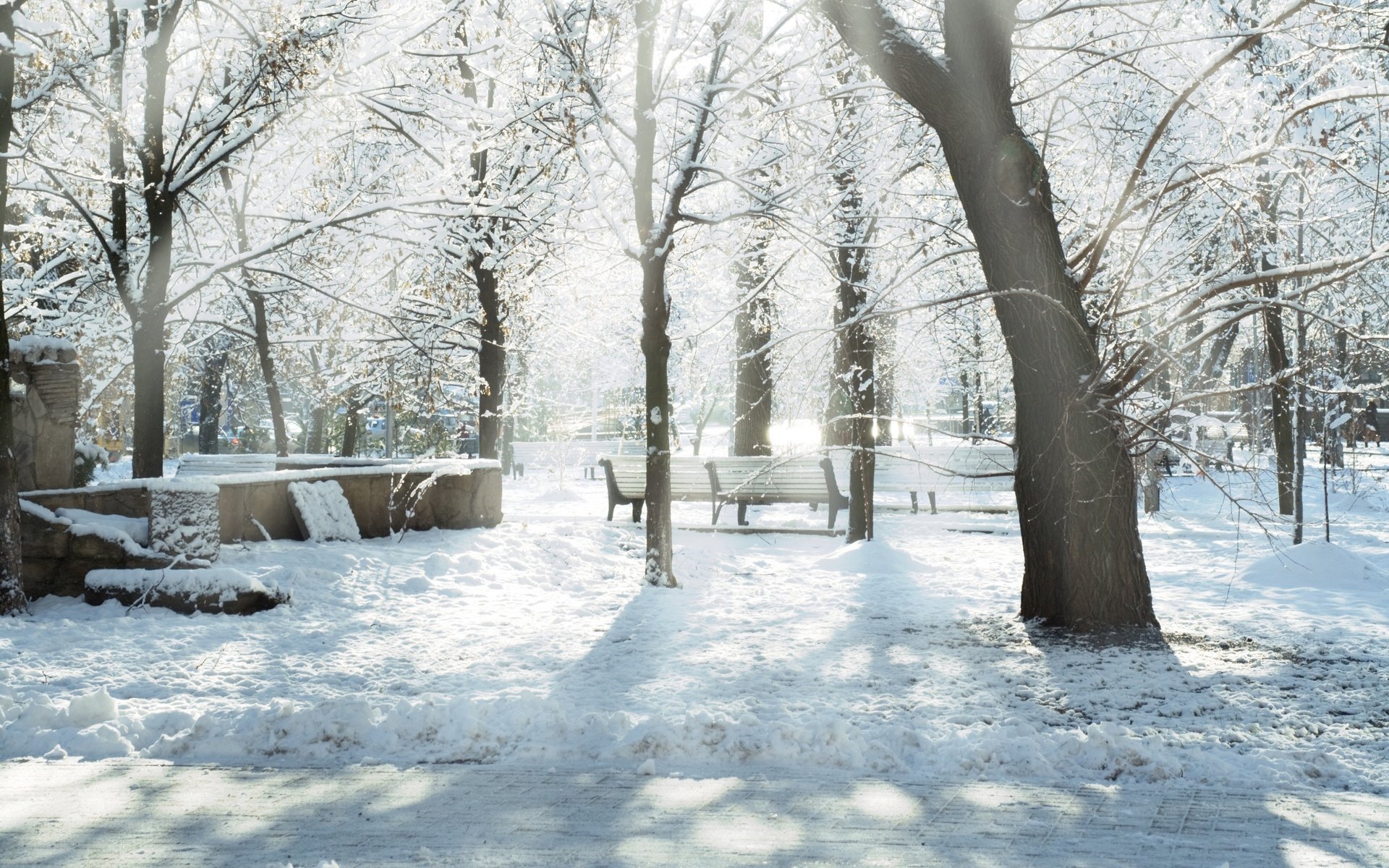 Обои солнце, снег, зима, лучи, парк, скамейки, snow trees, дервья, the sun, snow, winter, rays, park, benches, dervla разрешение 5824x4080 Загрузить