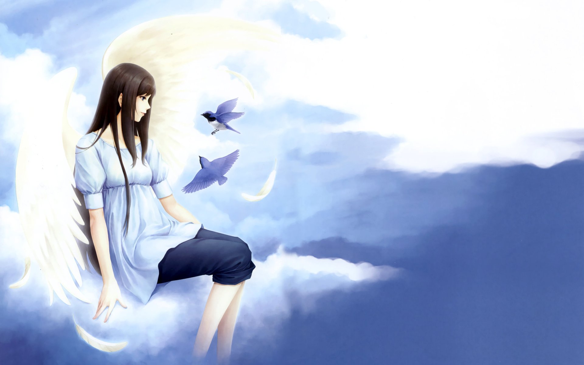 Обои облака, девушка, птицы, нежность, kara no shoujo, clouds, girl, birds, tenderness разрешение 2560x1600 Загрузить