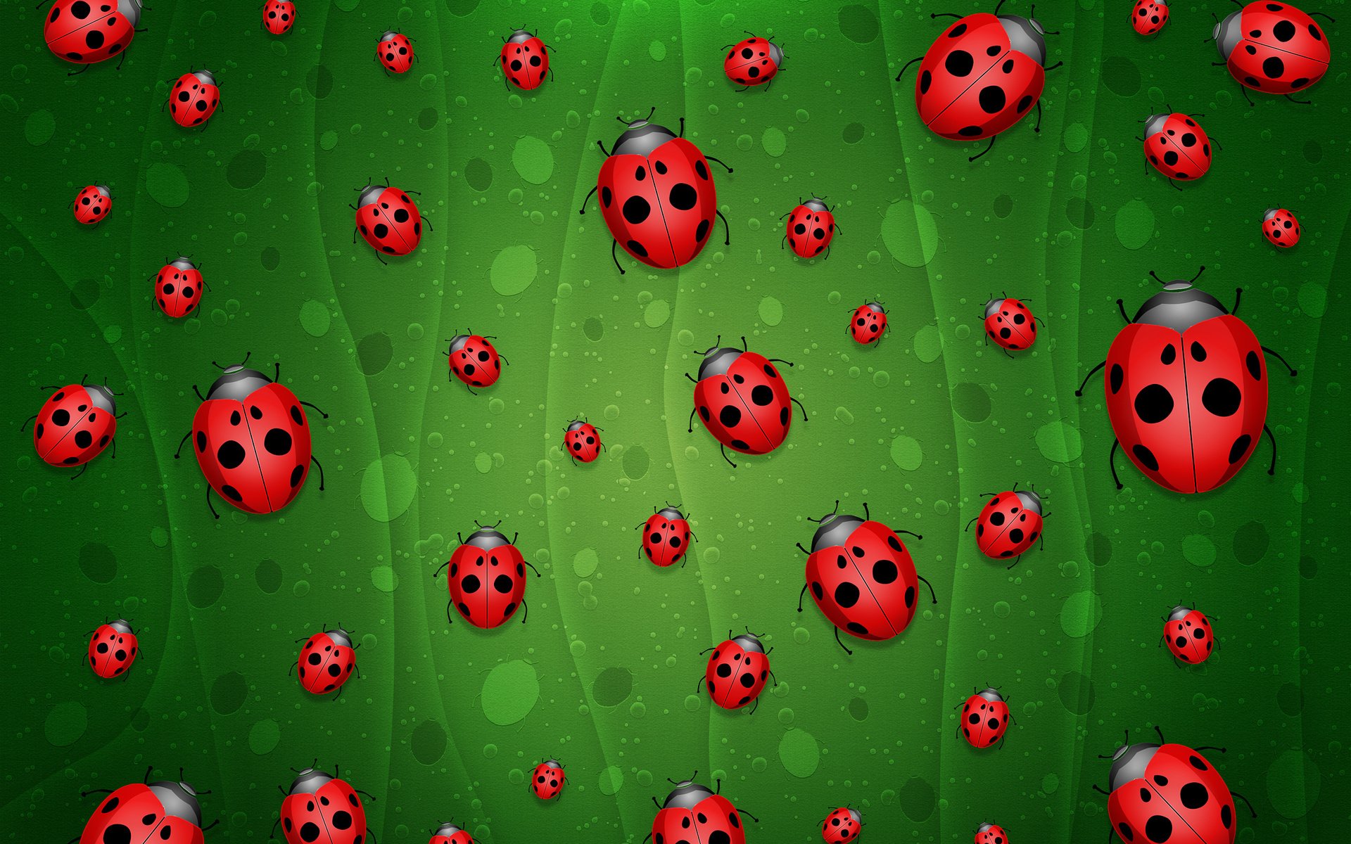 Обои зелёный, фон, божьи коровки, green, background, ladybugs разрешение 2560x1600 Загрузить