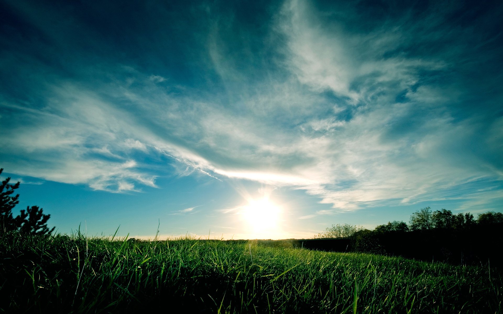 Обои небо, трава, облака, закат, синий, зеленая, the sky, grass, clouds, sunset, blue, green разрешение 2560x1600 Загрузить