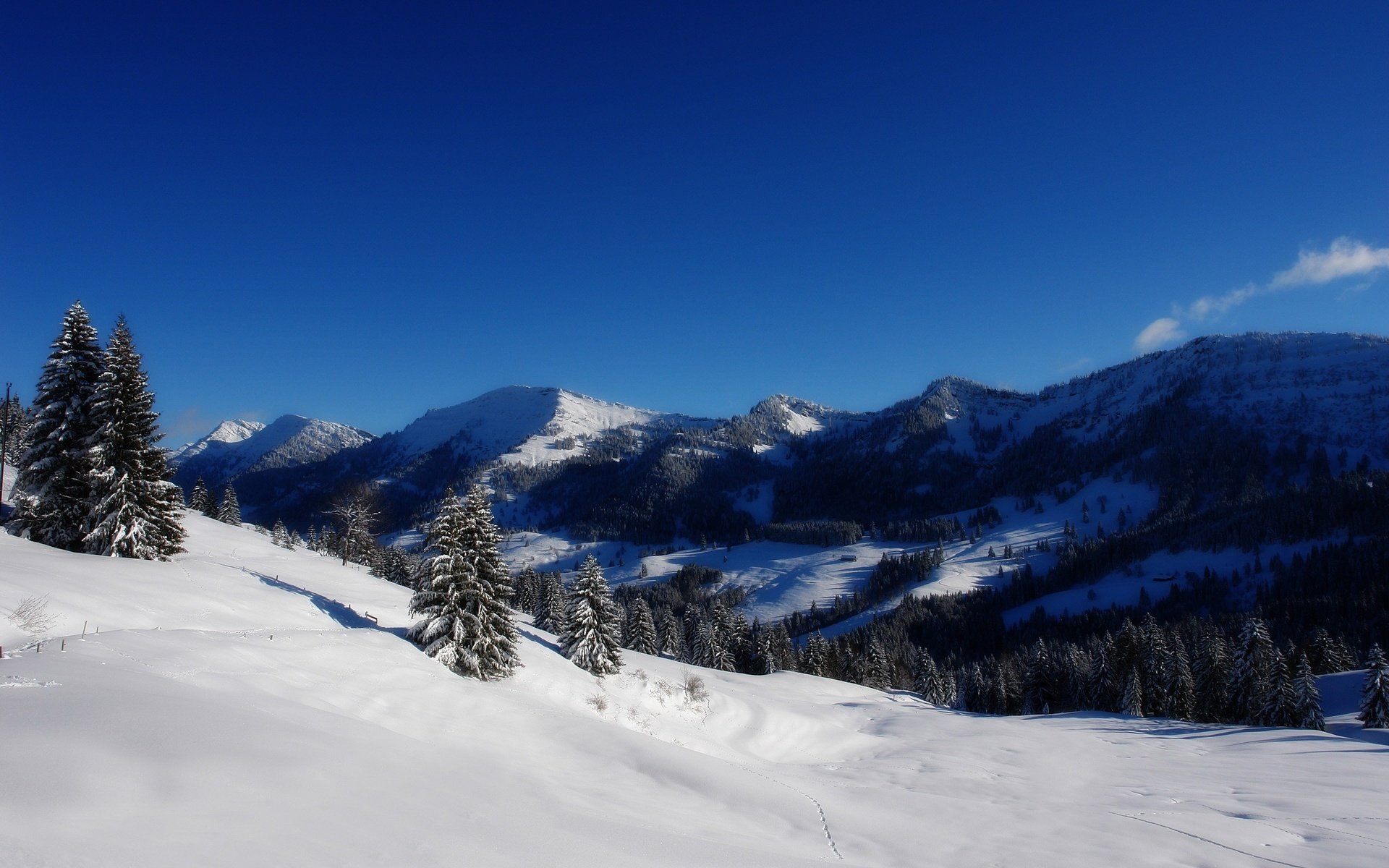 Обои деревья, горы, снег, зима, trees, mountains, snow, winter разрешение 2560x1600 Загрузить