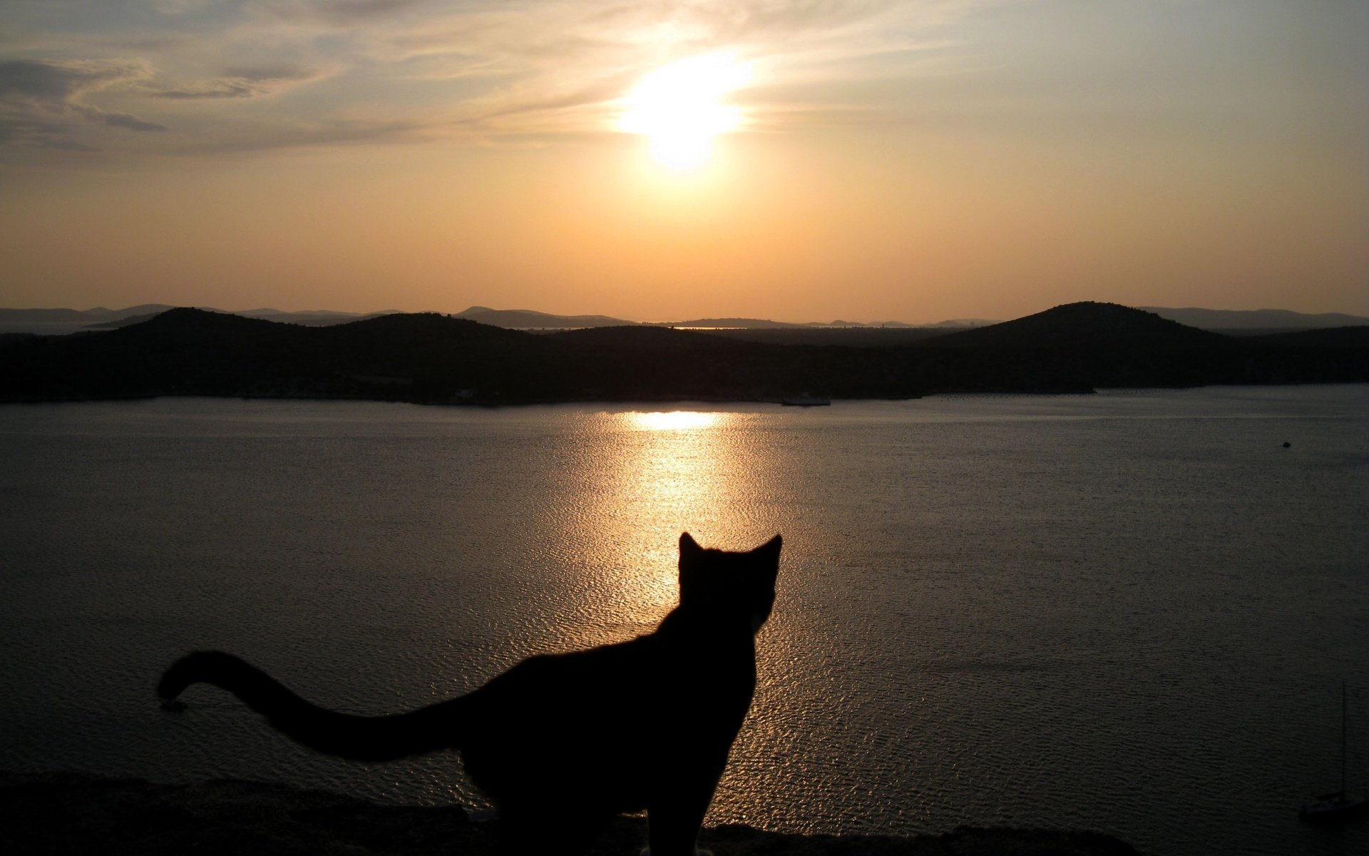 Обои небо, закат, море, кошка, силуэт, the sky, sunset, sea, cat, silhouette разрешение 3264x2448 Загрузить