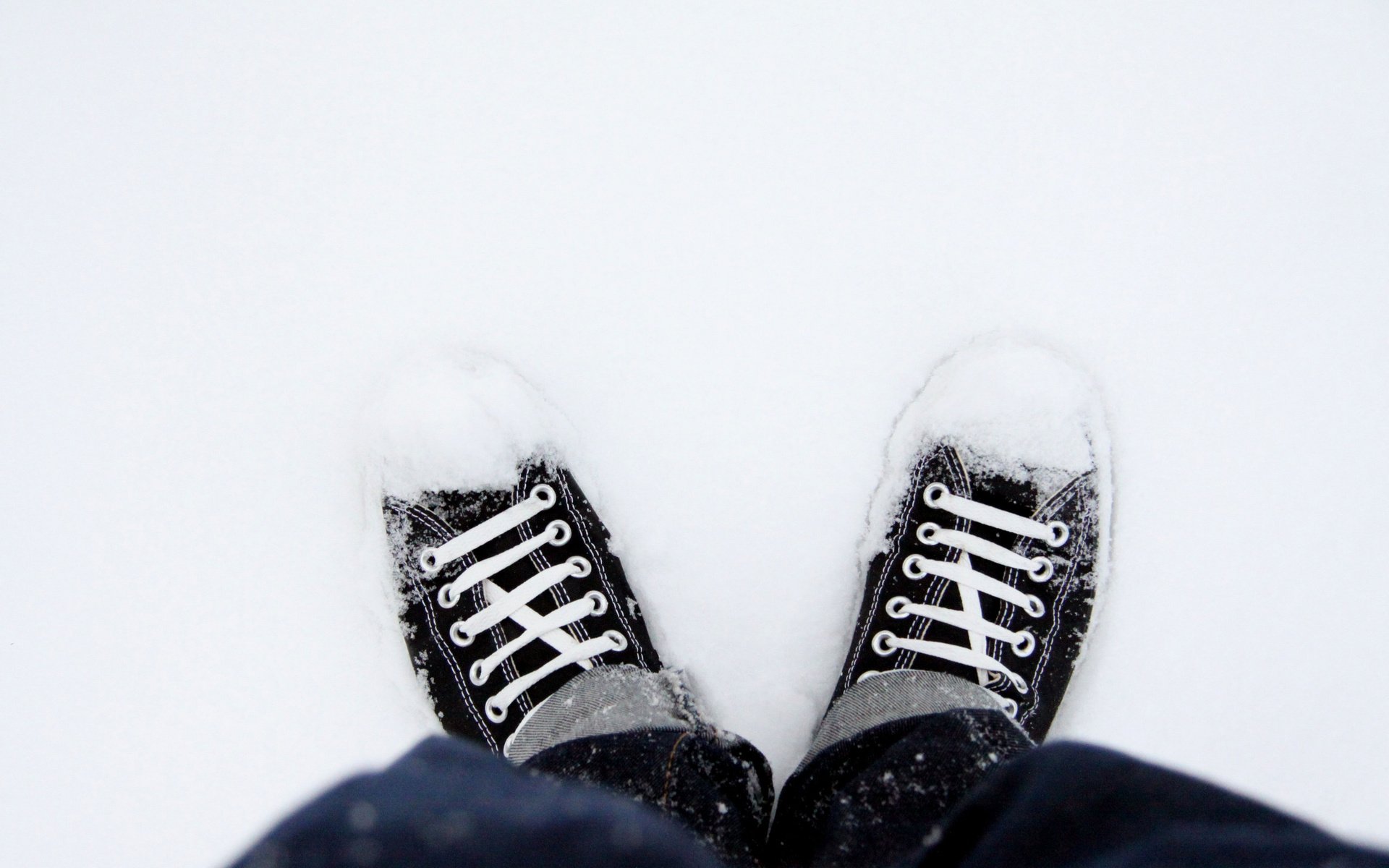 Обои снег, кеды, обувь, snow, sneakers, shoes разрешение 2560x1707 Загрузить