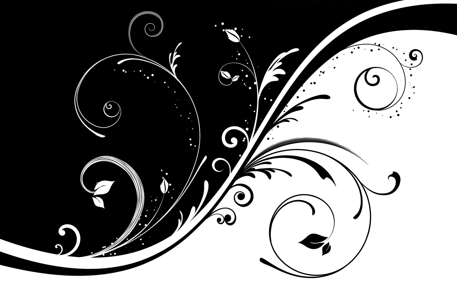 Обои узор, черно-белая, завитки, pattern, black and white, curls разрешение 2560x1600 Загрузить