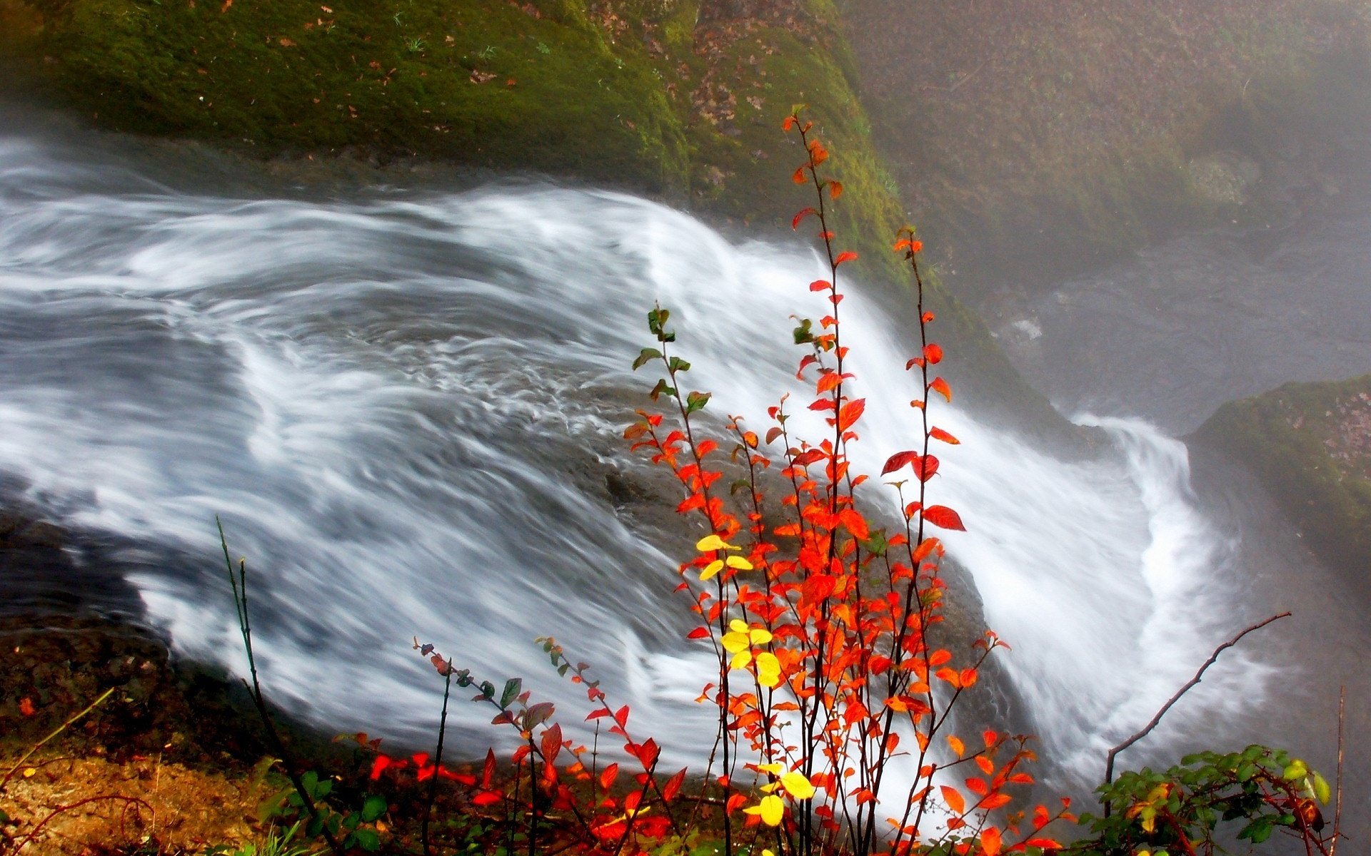 Обои река, листья, водопад, осень, river, leaves, waterfall, autumn разрешение 1920x1440 Загрузить