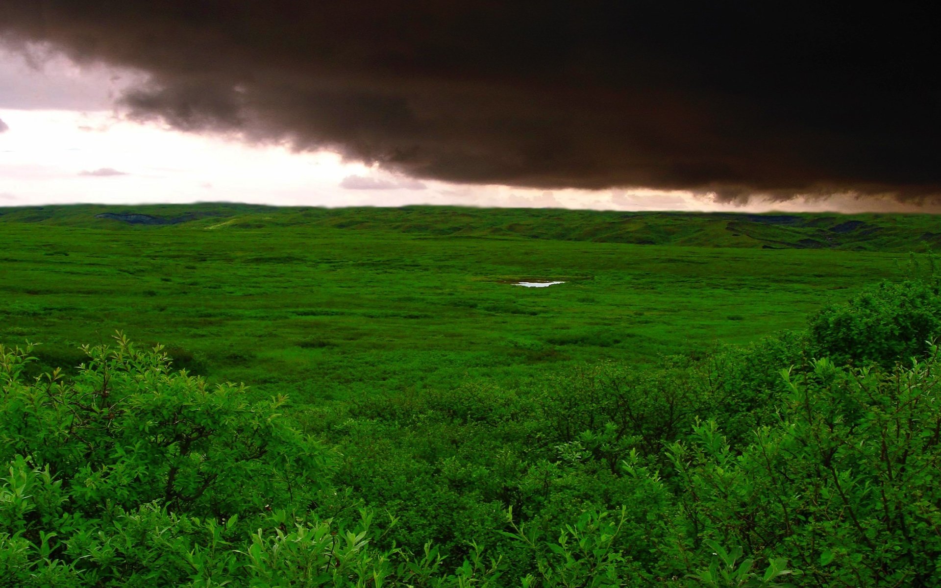 Обои трава, облака, буря, зелёный, поле, grass, clouds, storm, green, field разрешение 2732x1536 Загрузить