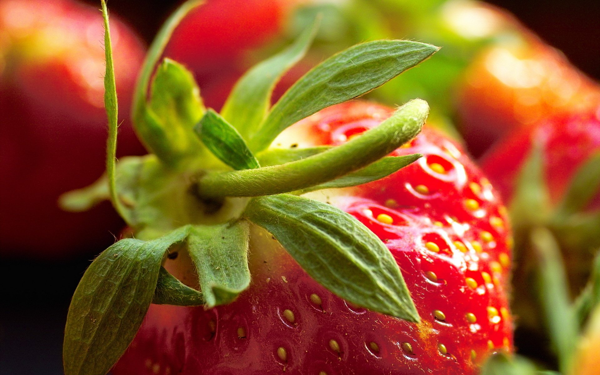 Обои макро, ягода, красная, клубника, macro, berry, red, strawberry разрешение 1920x1280 Загрузить