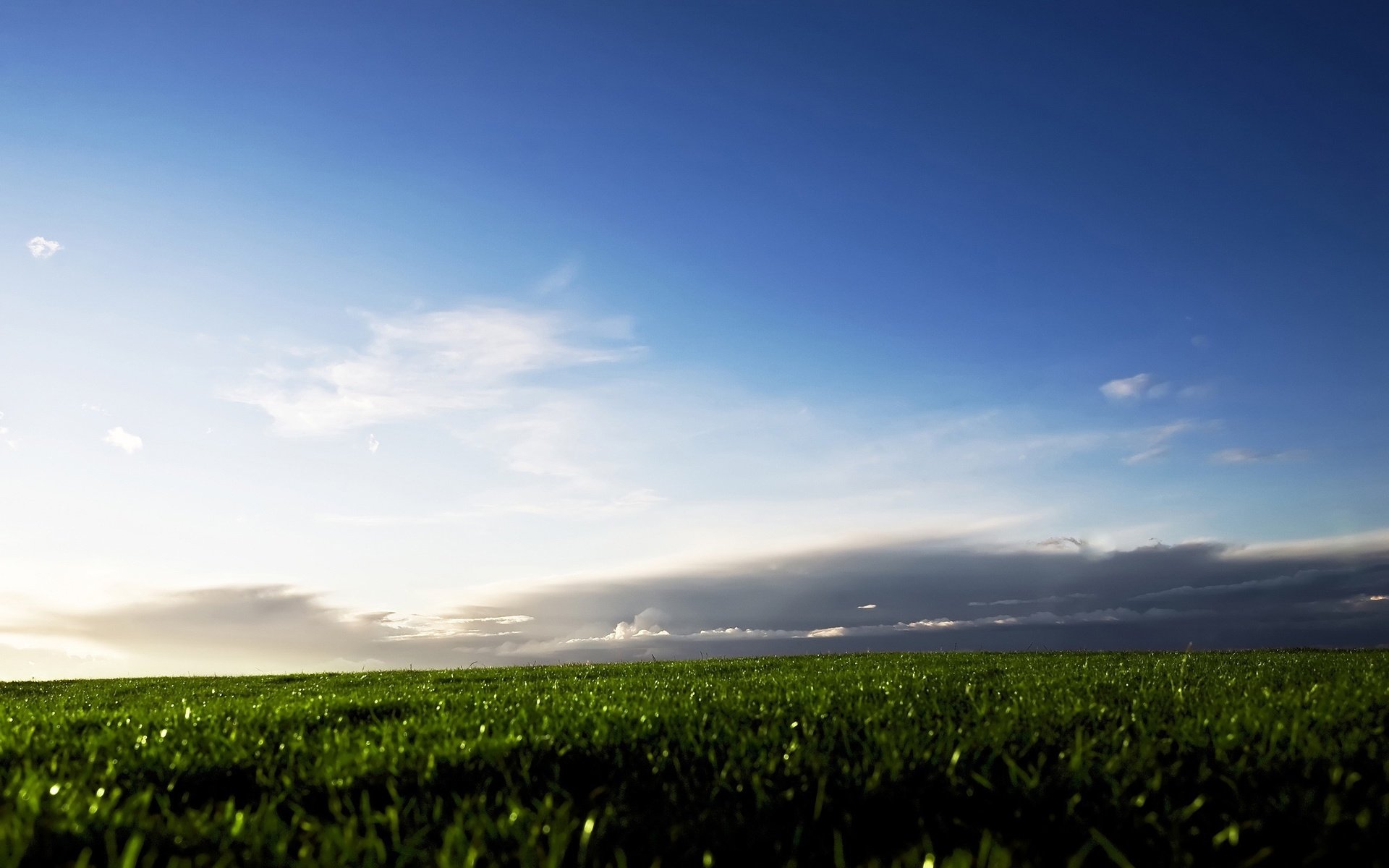 Обои небо, трава, облака, поле, the sky, grass, clouds, field разрешение 2560x1600 Загрузить