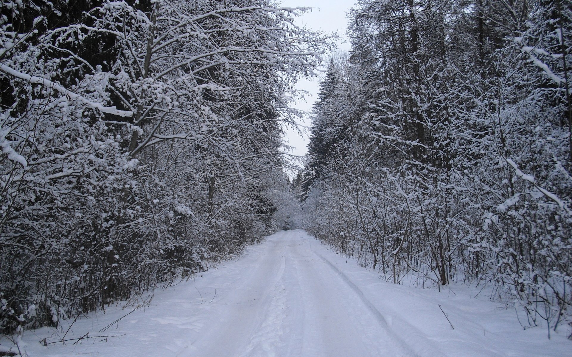 Обои дорога, лес, зима, road, forest, winter разрешение 3456x2592 Загрузить