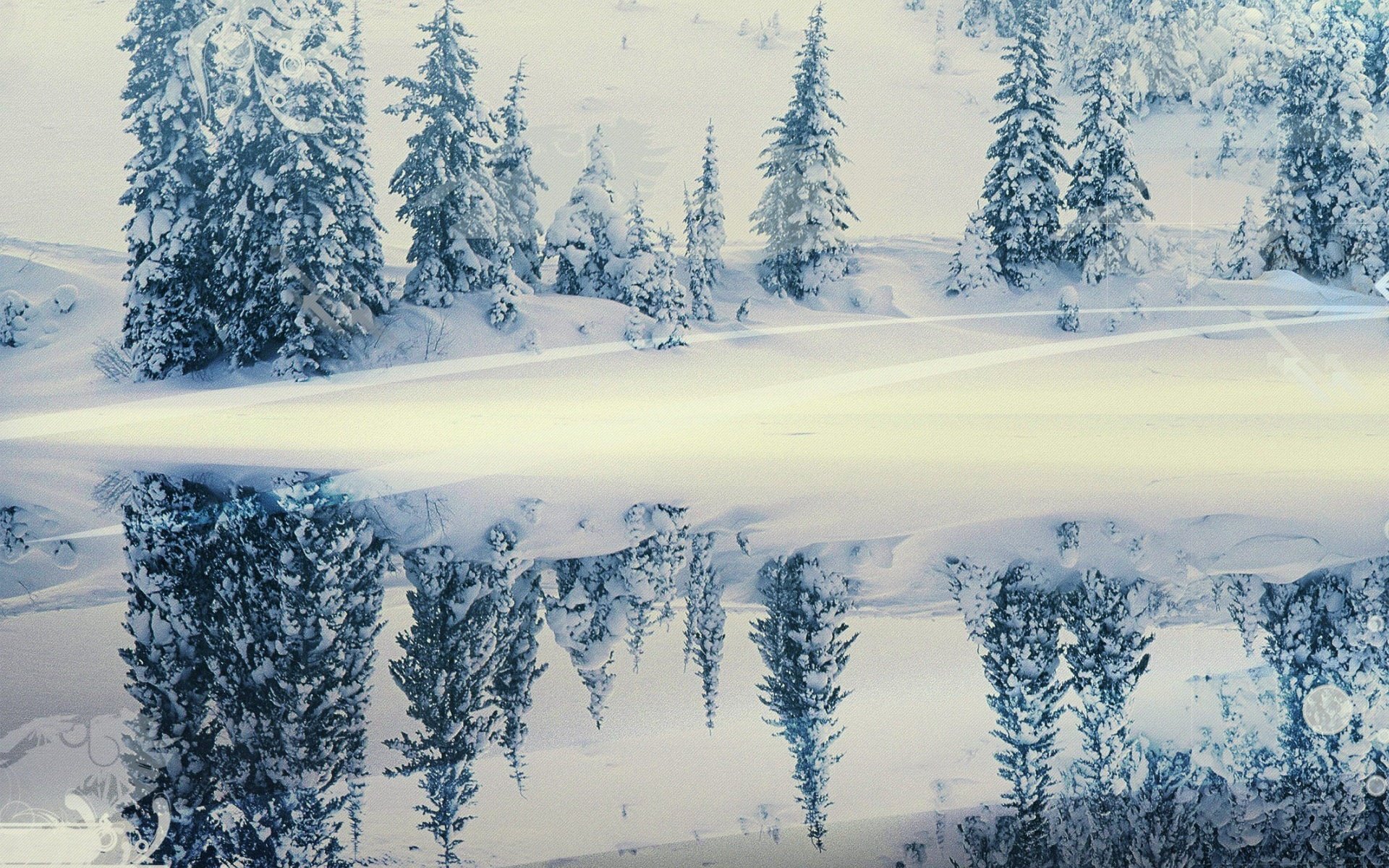 Обои снег, зима, отражение, елки, snow, winter, reflection, tree разрешение 1920x1440 Загрузить