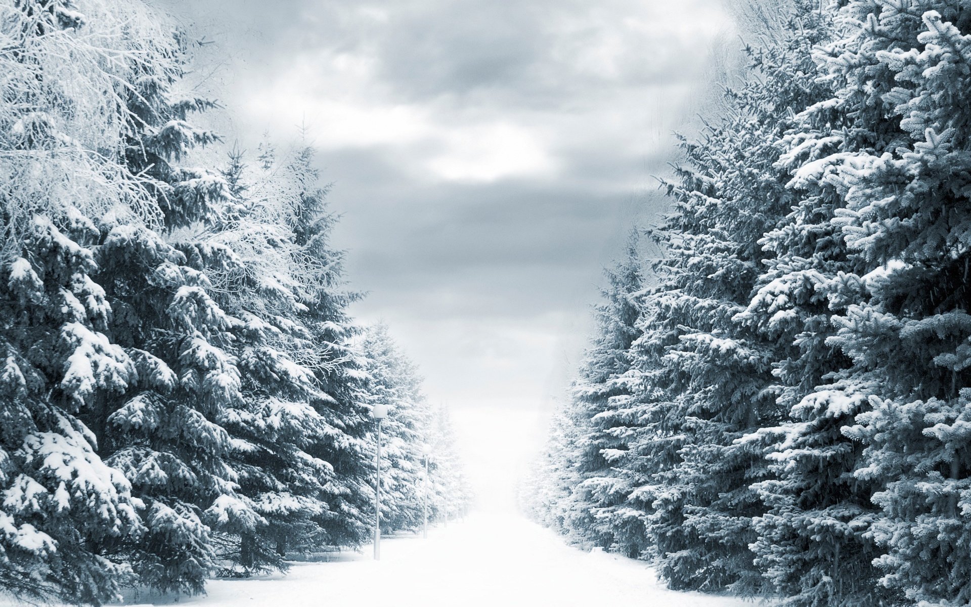 Обои дорога, деревья, фонари, снег, зима, winter way, road, trees, lights, snow, winter разрешение 3072x2048 Загрузить