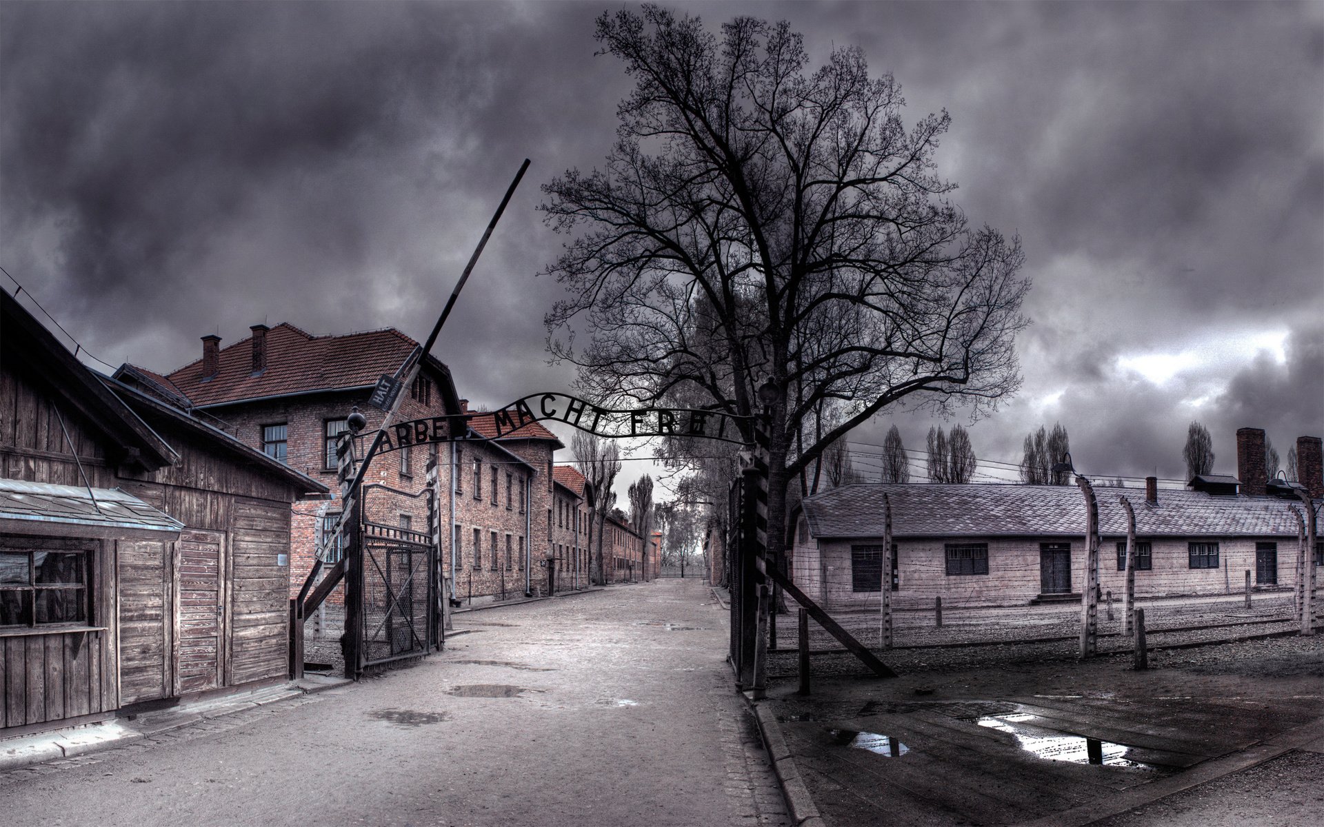 Обои нуар, освенцим, труд делает свободным, noir, auschwitz, work makes you free разрешение 2560x1600 Загрузить