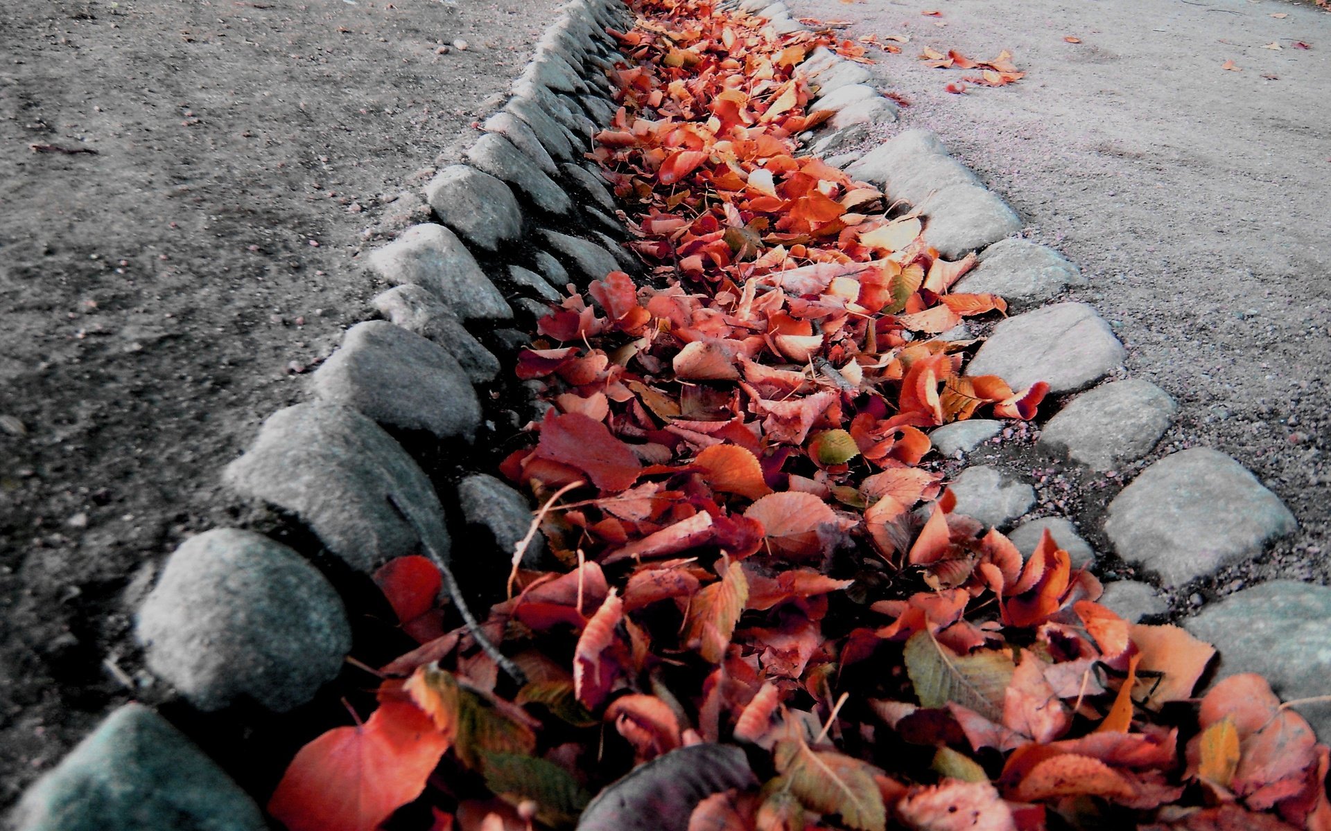 Обои листья, осень, колея, leaves, autumn, track разрешение 3069x2109 Загрузить