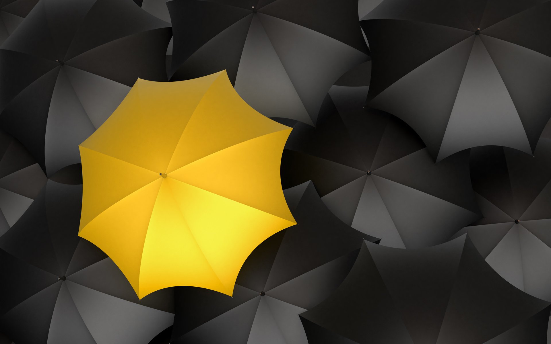 Обои желтый, черный цвет, зонты, yellow, black color, umbrellas разрешение 5200x3900 Загрузить