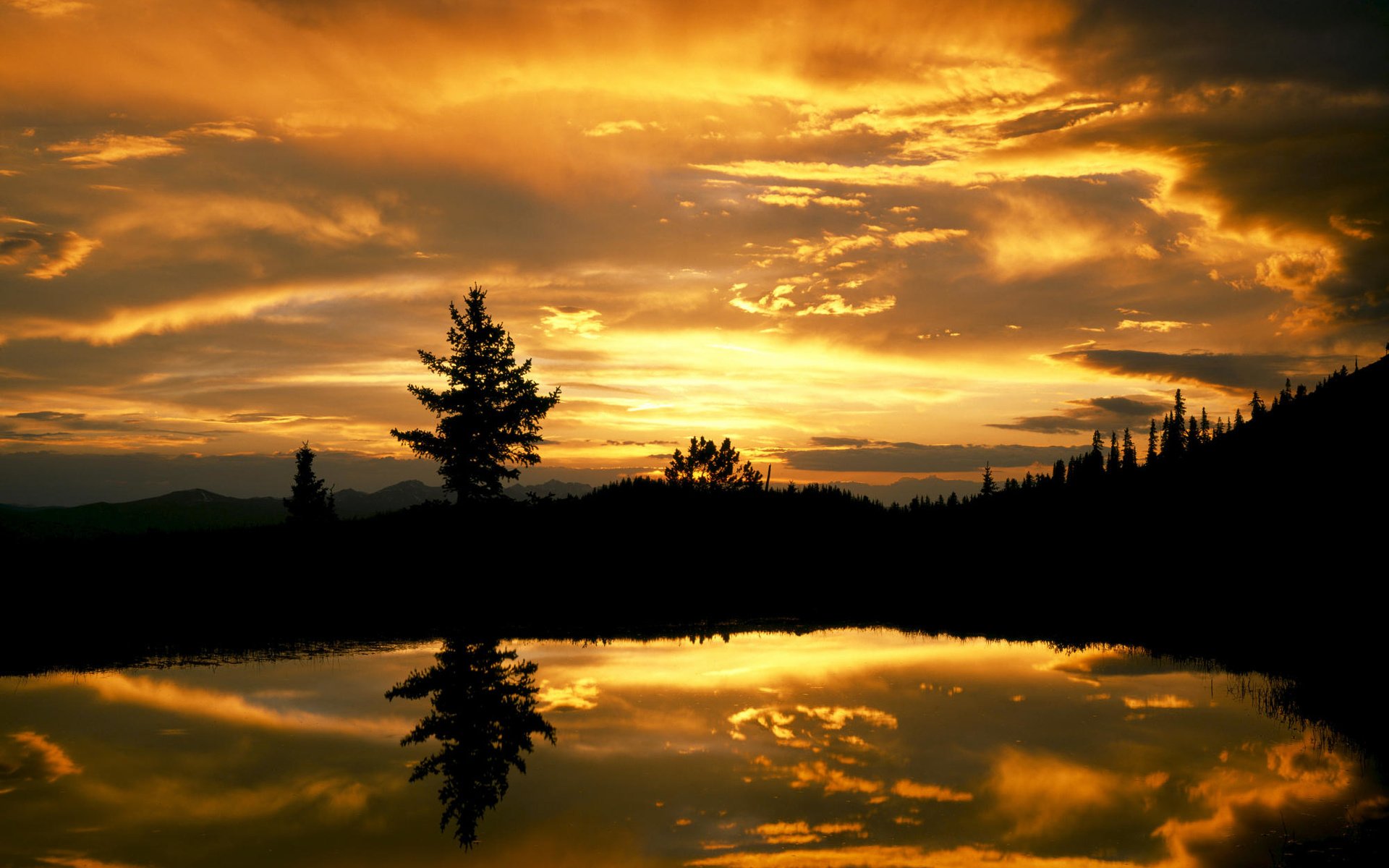 Обои небо, вечер, озеро, лес, закат, отражение, ель, the sky, the evening, lake, forest, sunset, reflection, spruce разрешение 2000x1333 Загрузить