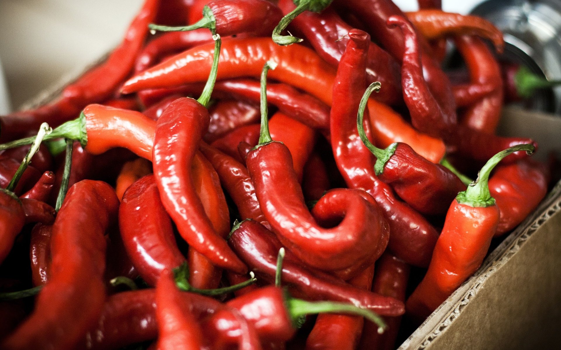 Обои еда, красный, чили, перец, овощи.перец, food, red, chile, pepper, vegetables.pepper разрешение 2560x1706 Загрузить