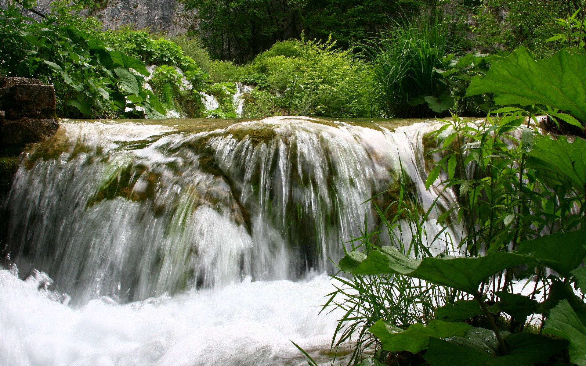 Обои вода, природа, зелень, пейзаж, лето, водопад, небольшой водопад, water, nature, greens, landscape, summer, waterfall, a small waterfall разрешение 1920x1280 Загрузить