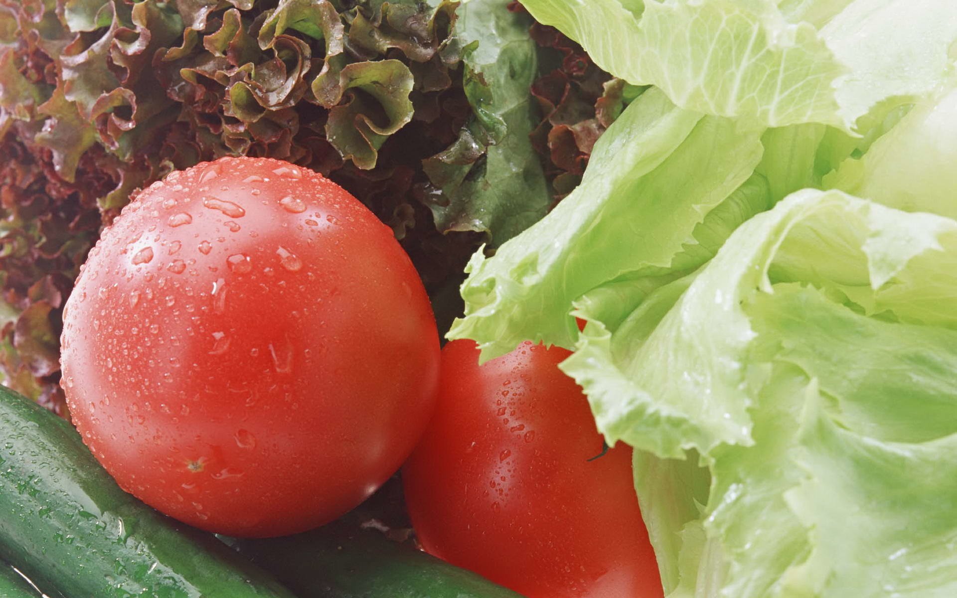 Обои зелень, овощи, помидоры, салат, огурцы, greens, vegetables, tomatoes, salad, cucumbers разрешение 1920x2705 Загрузить