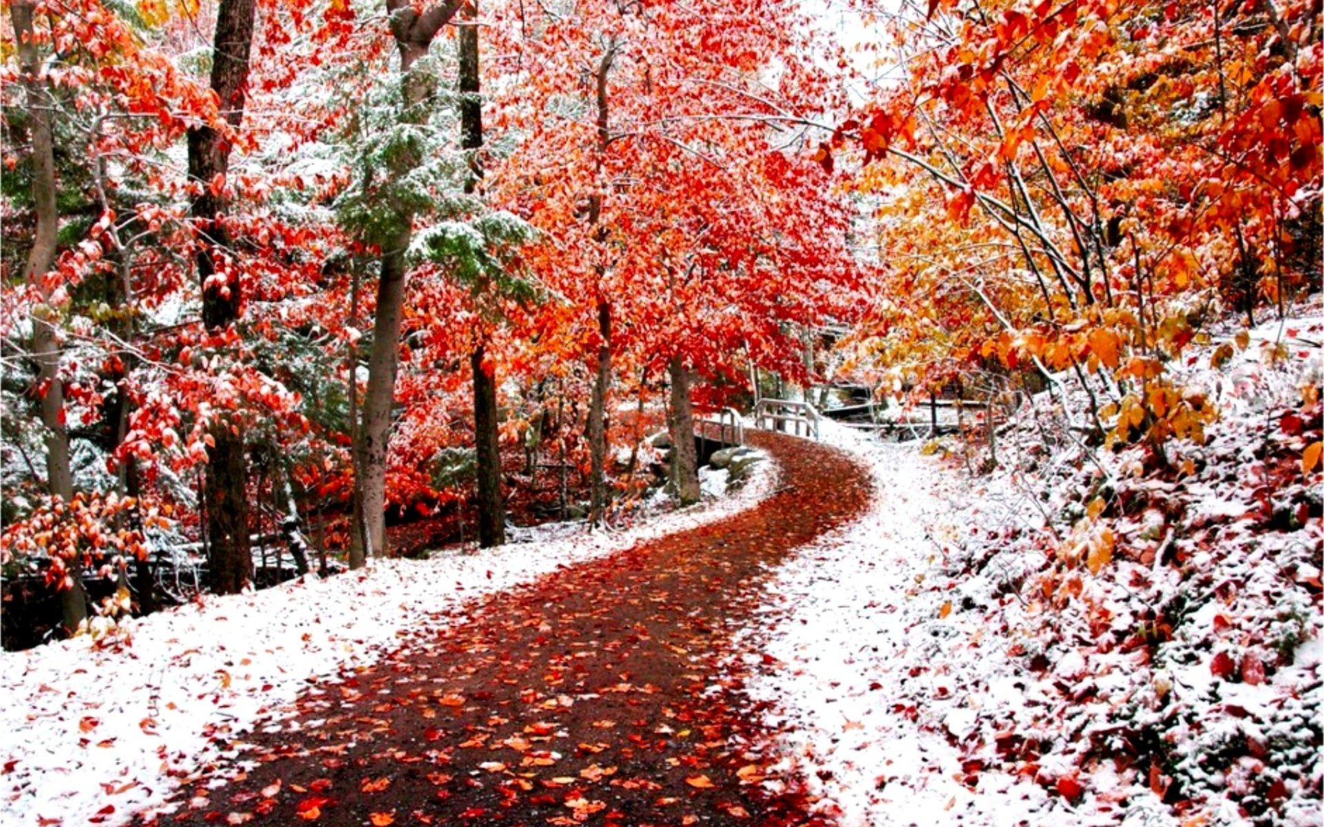 фото осень зима