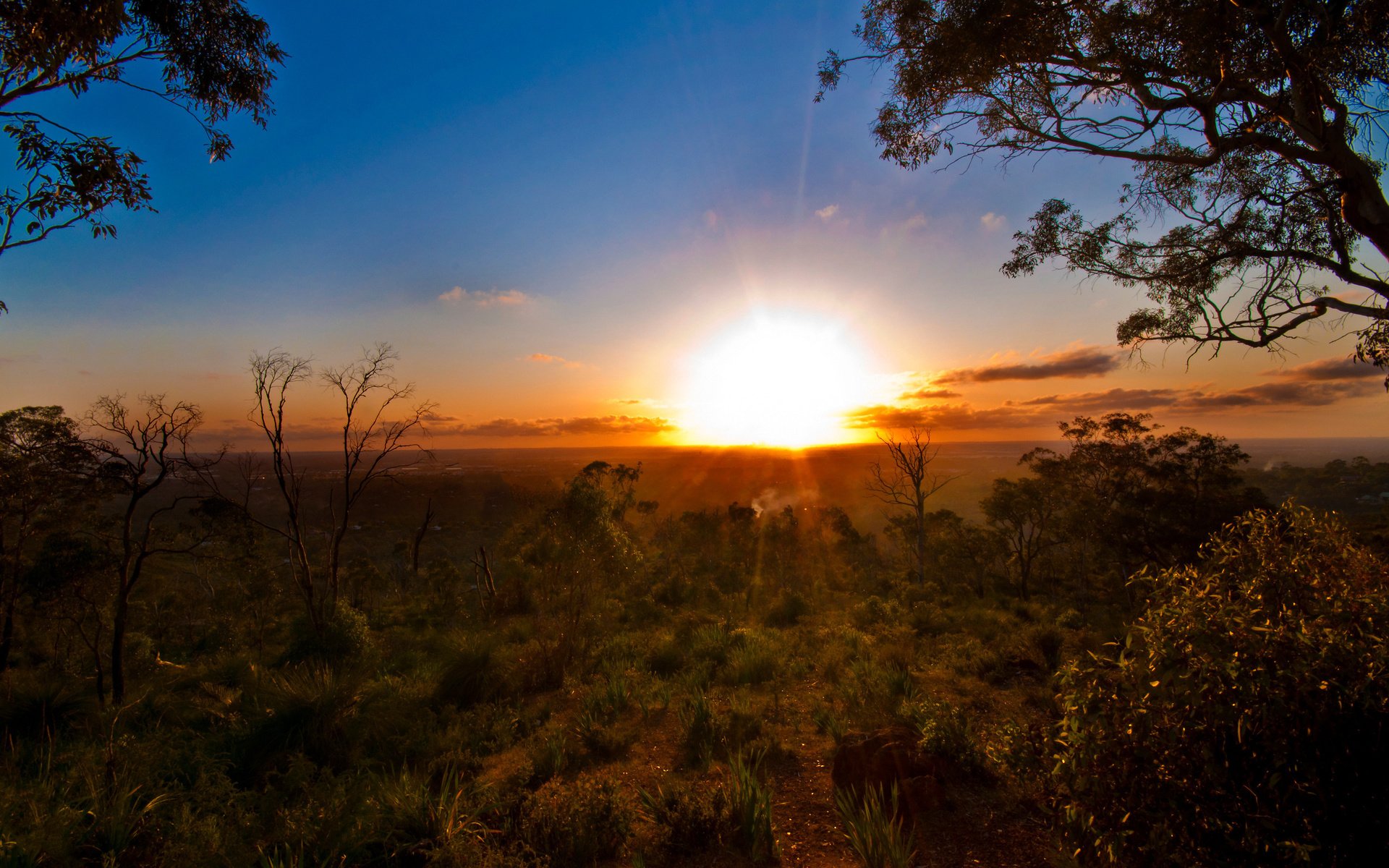 Обои деревья, солнце, закат, горизонт, лето, австралия, trees, the sun, sunset, horizon, summer, australia разрешение 2560x1600 Загрузить