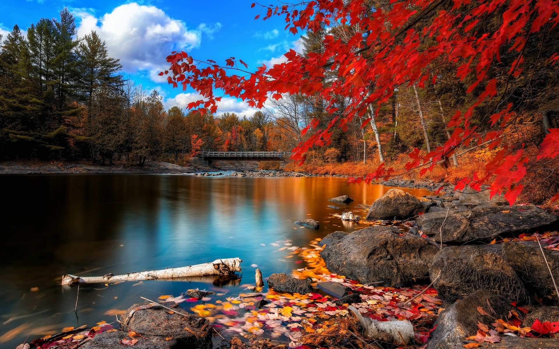 Обои небо, облака, деревья, река, камни, листья, мост, осень, the sky, clouds, trees, river, stones, leaves, bridge, autumn разрешение 2560x1600 Загрузить