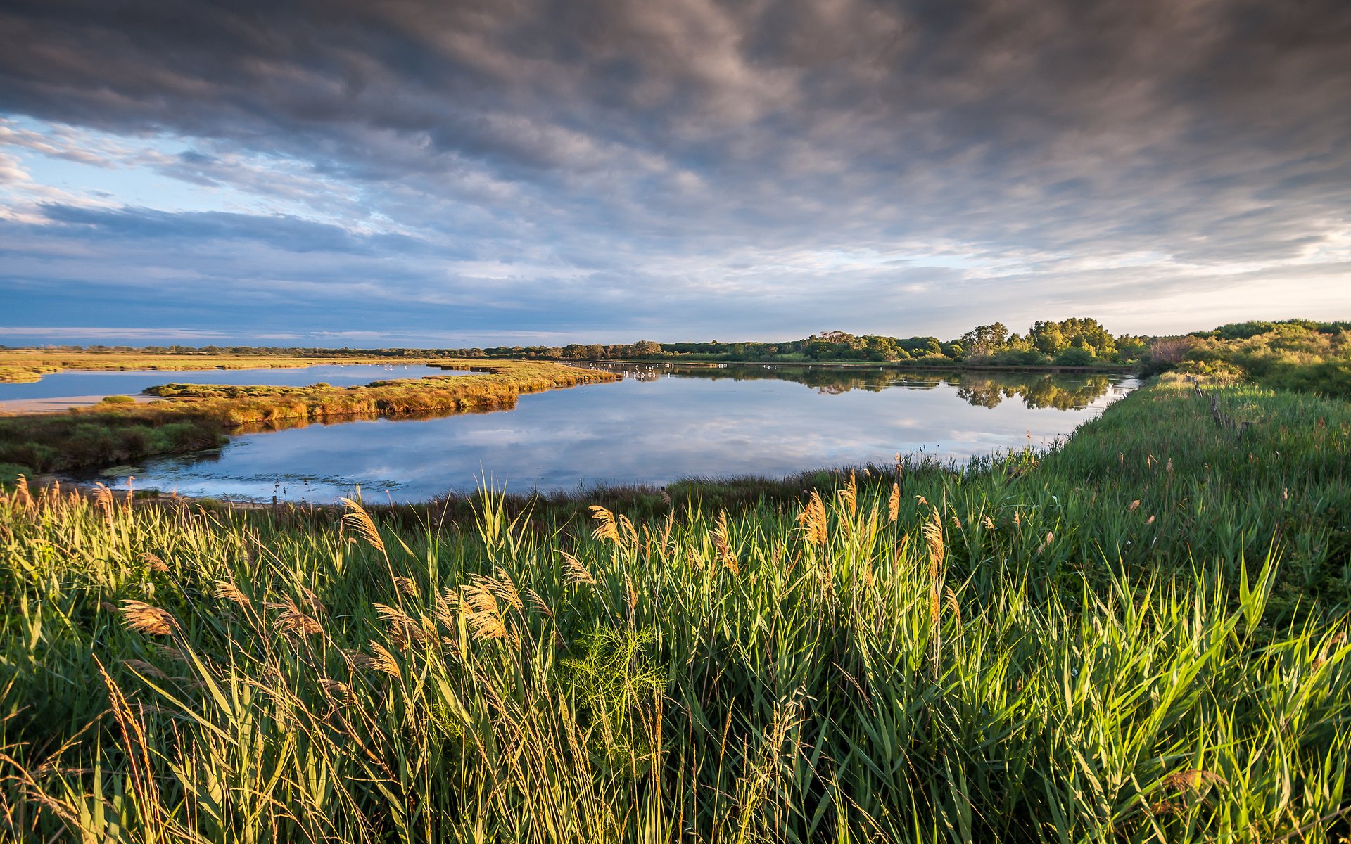 Обои небо, трава, облака, озеро, природа, пейзаж, франция, франци, petite camargue, the sky, grass, clouds, lake, nature, landscape, france разрешение 2560x1600 Загрузить