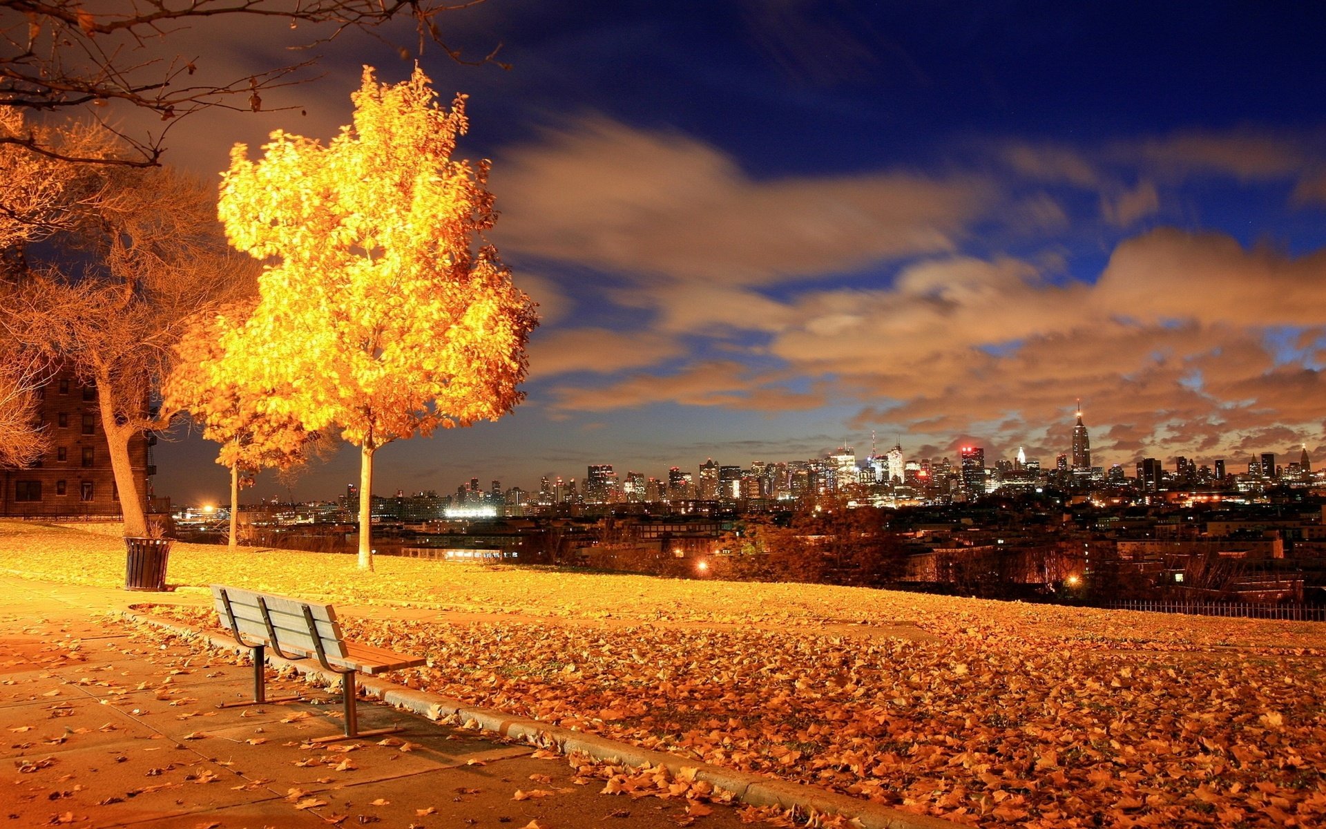 Обои ночь, парк, город, осень, сша, нью-йорк, скамейка, night, park, the city, autumn, usa, new york, bench разрешение 2560x1600 Загрузить